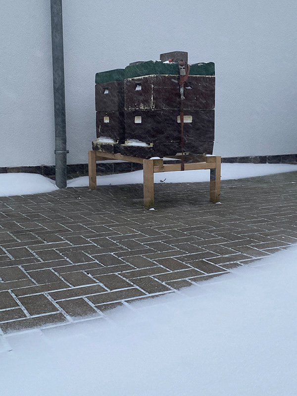 Schneesturm