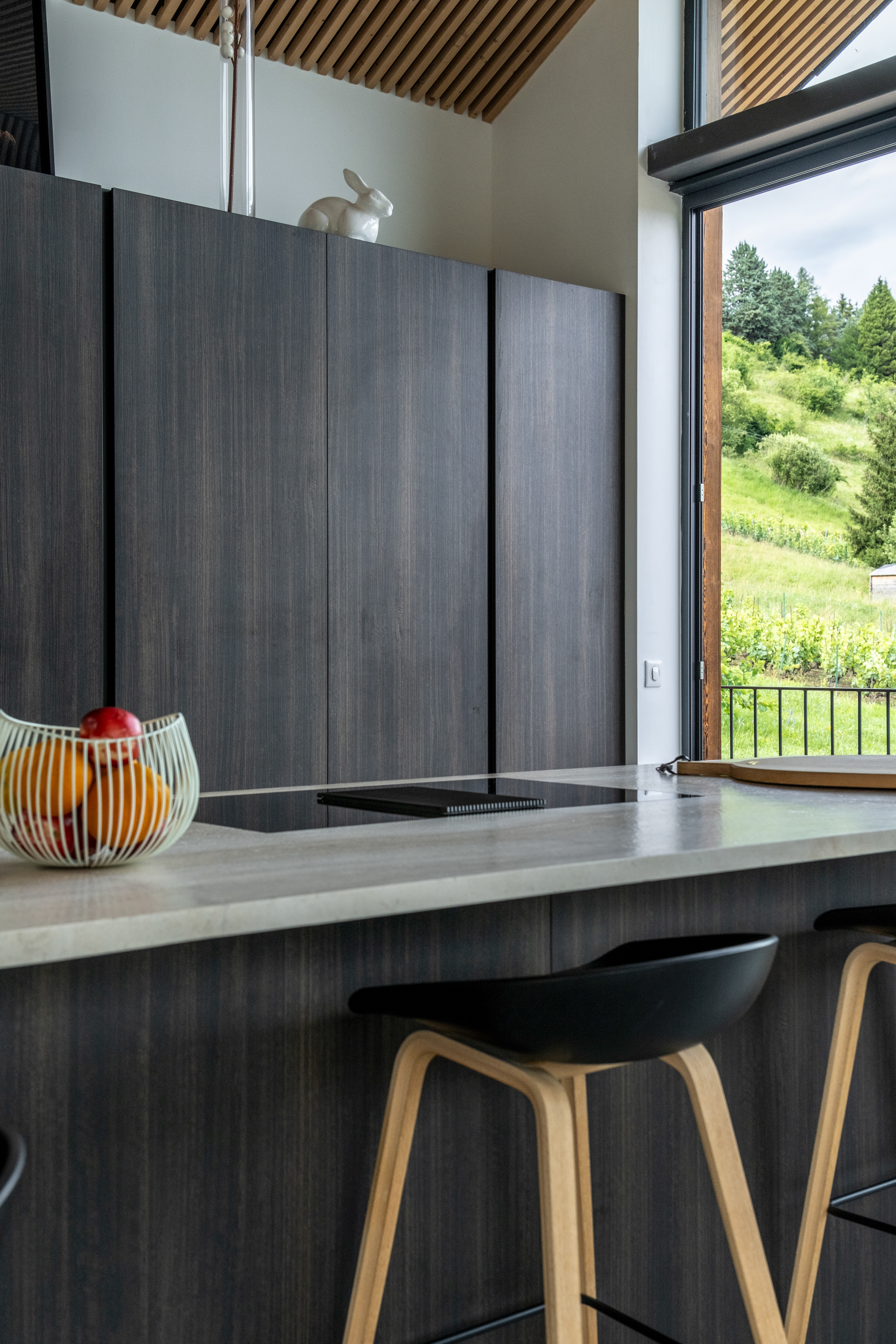 Architecture D+C ; Cuisine, haute-savoie 74