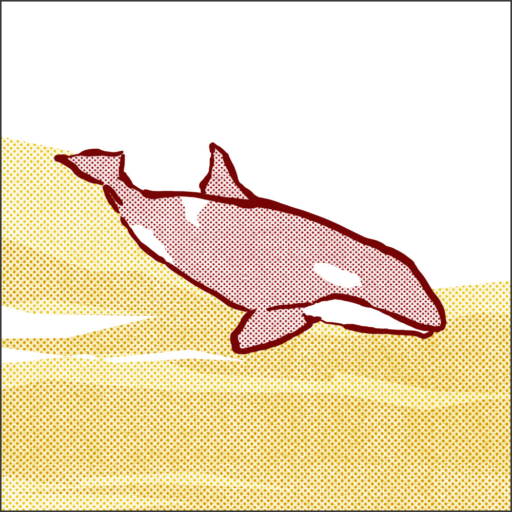 Song for the Orca