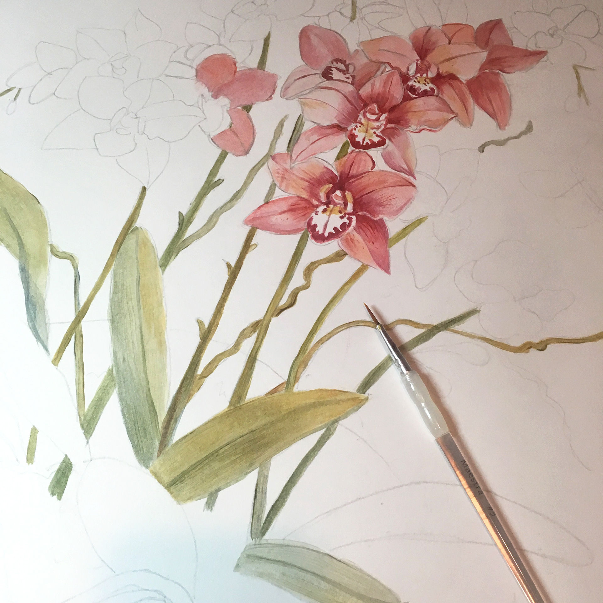 Orchid oil painting by artist Marsha Bowers.  Part of the Chinoiserie and Flora Collection