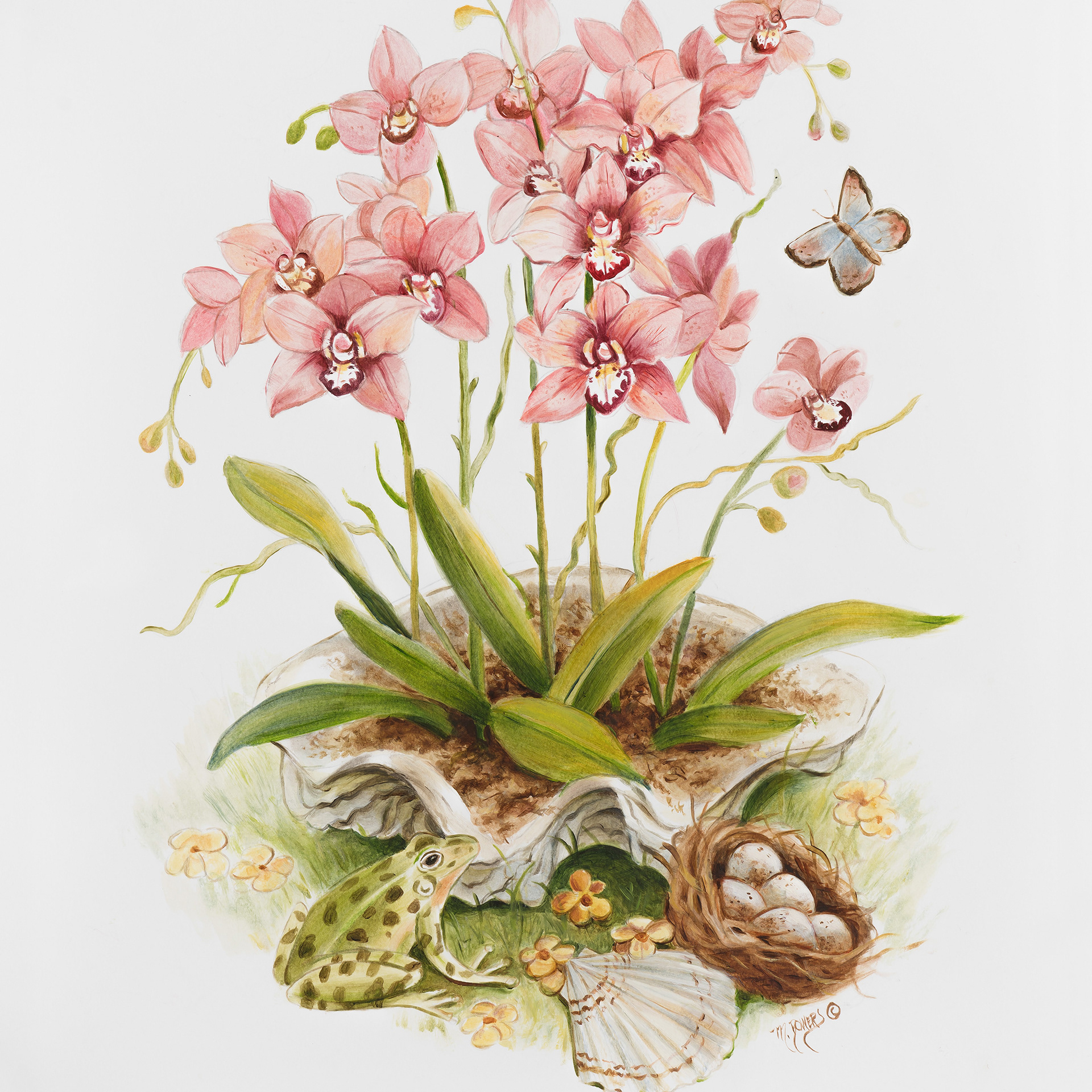 Orchid oil painting by artist Marsha Bowers.  Part of the Chinoiserie and Flora Collection