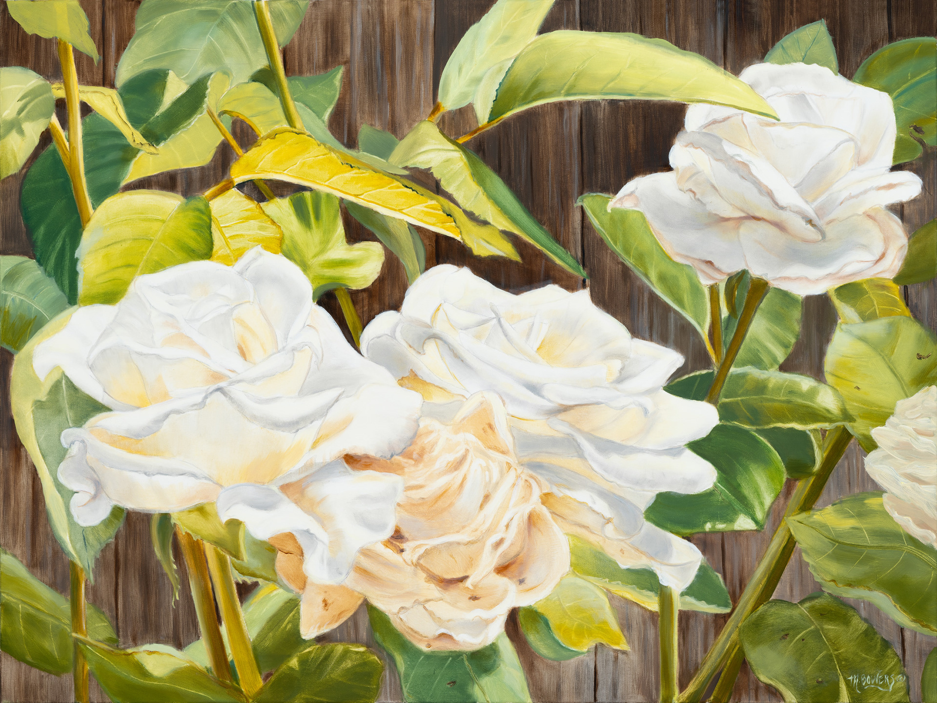 White roses painting, art, fine art, painting, oil painting, floral art, realism art, garden, flowers, at by Marsha Bowers