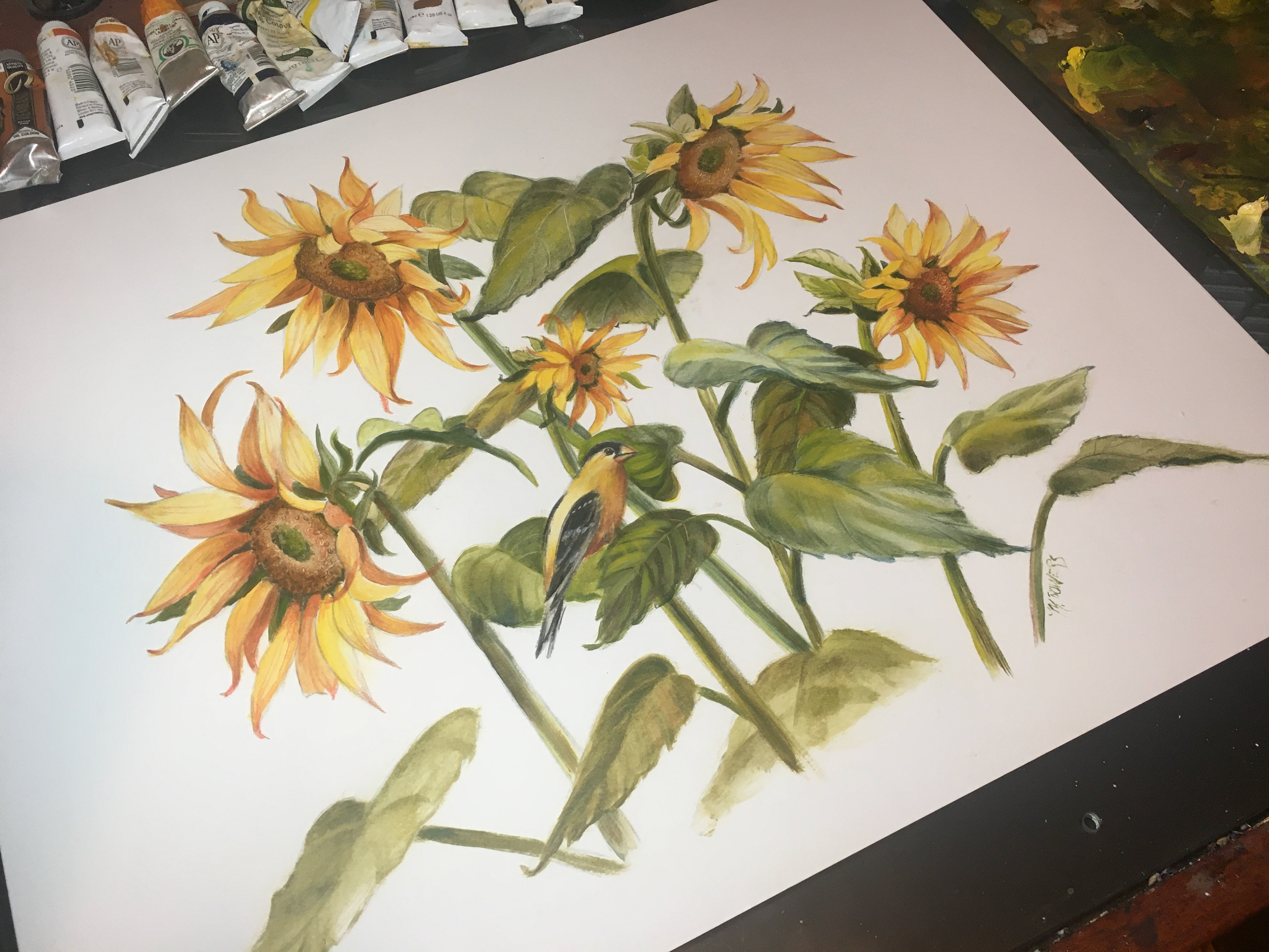 Sunflowers painting by artist Marsha Bowers. Painted wit oils on paper