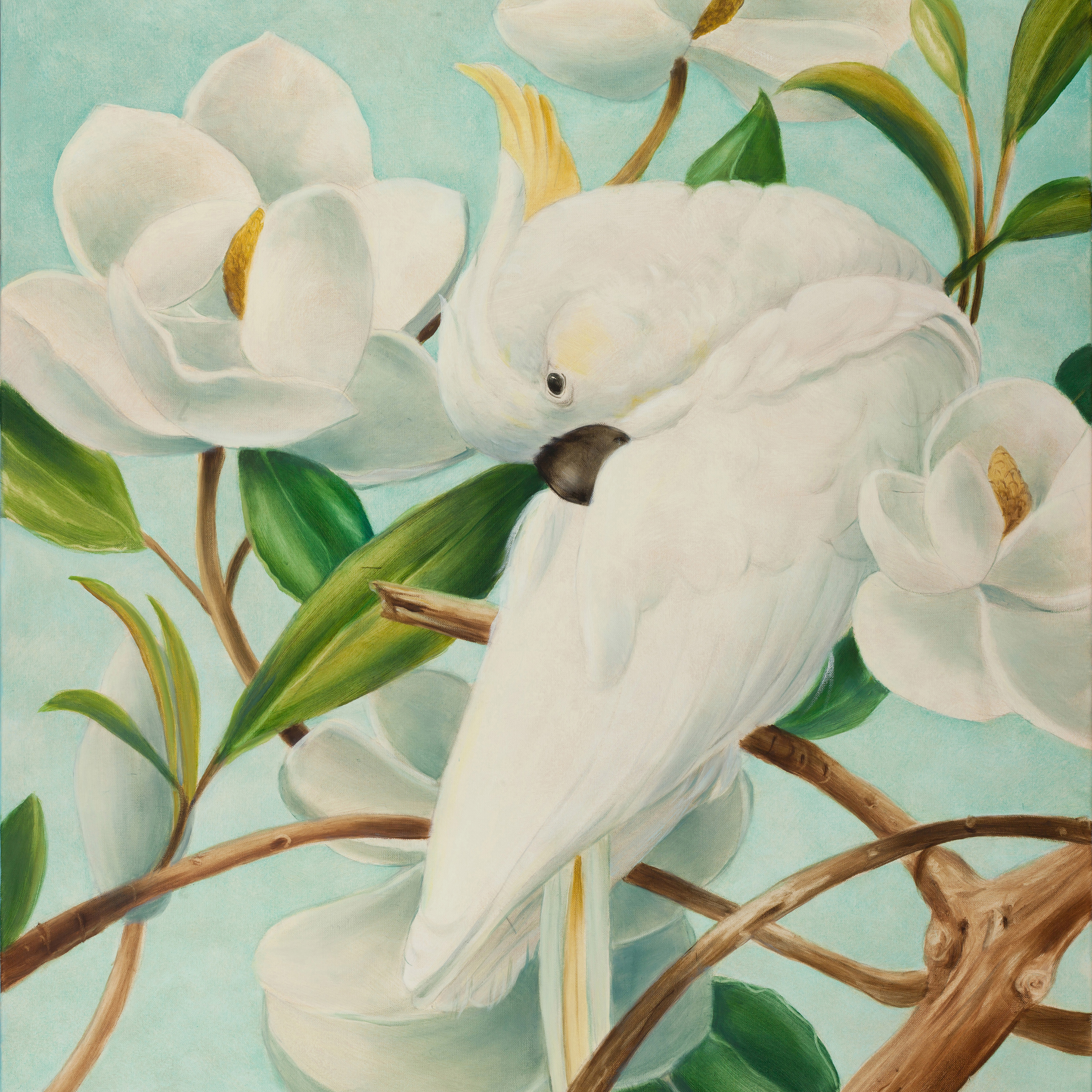Oil painting, Parrot With Magnolias by artist Marsha Bowers. Painted with oils.