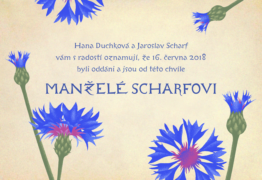 svatební oznámení, květiny, chrpy