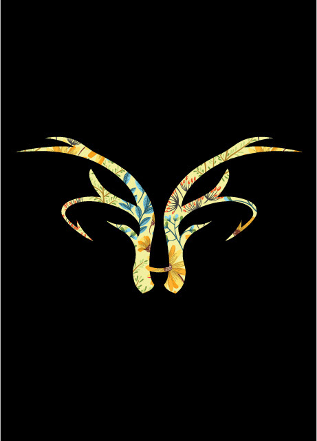 Haulover Hunt, Fish and Cooking