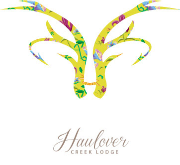 Haulover's Cooking Classes