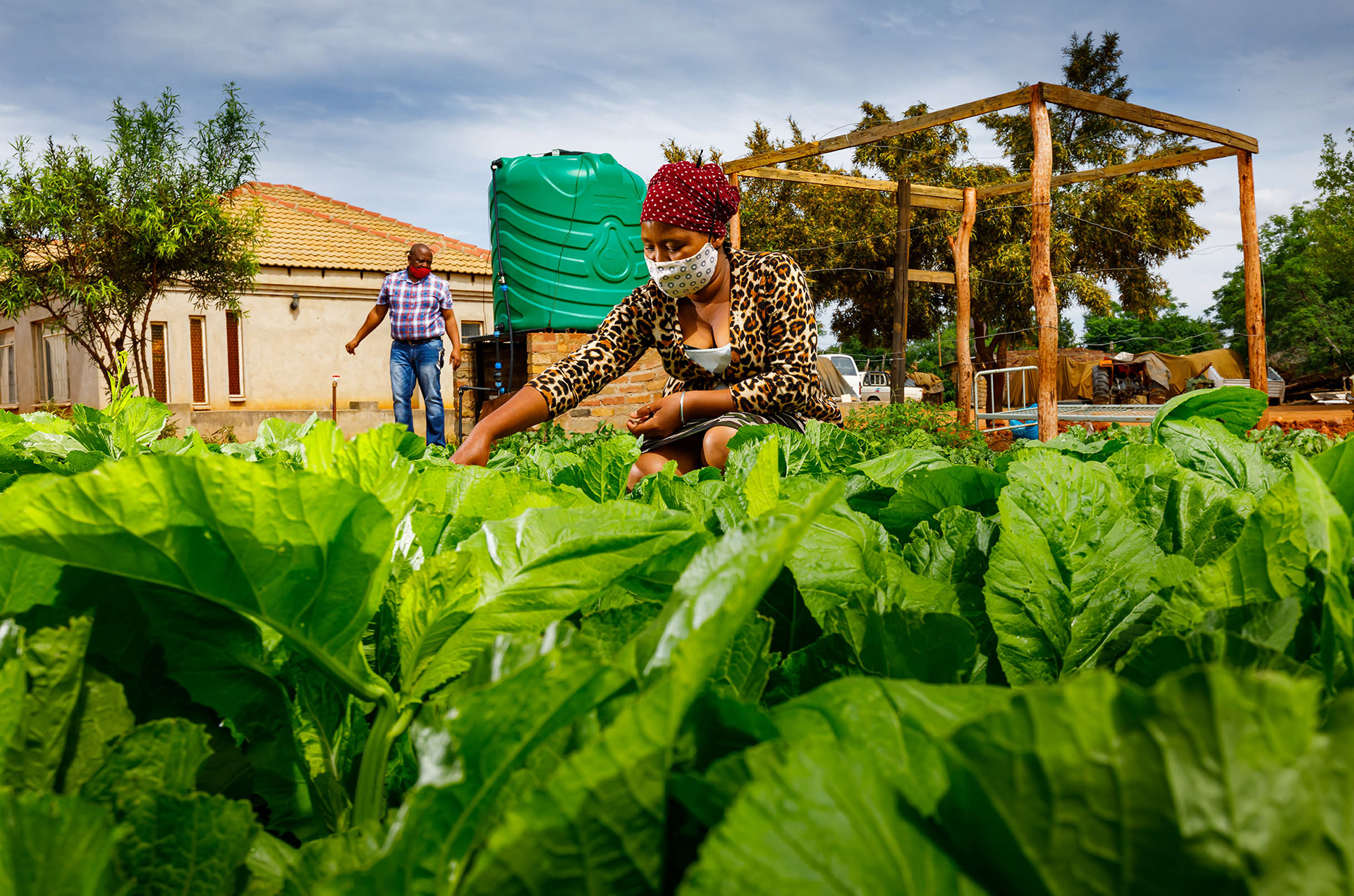 Agricultural project