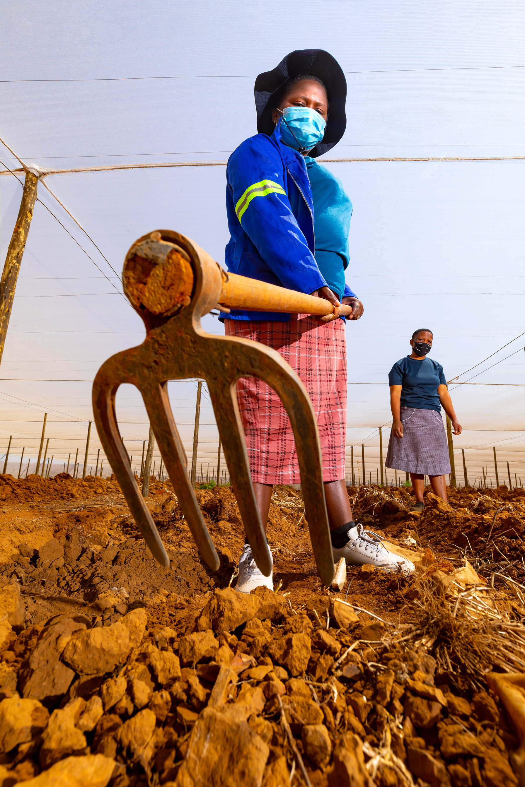 Community vegetable tunnel project