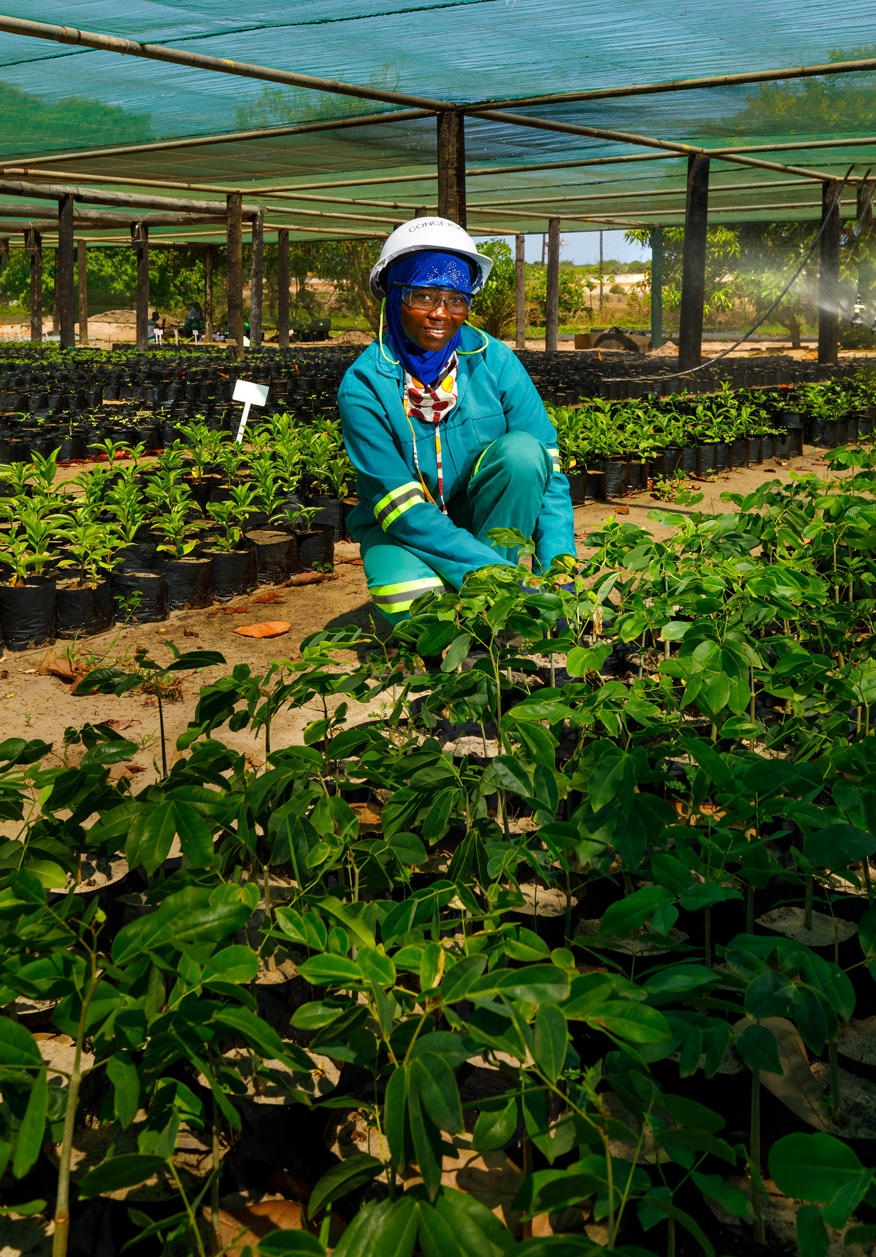 Environmental rehabilitation
