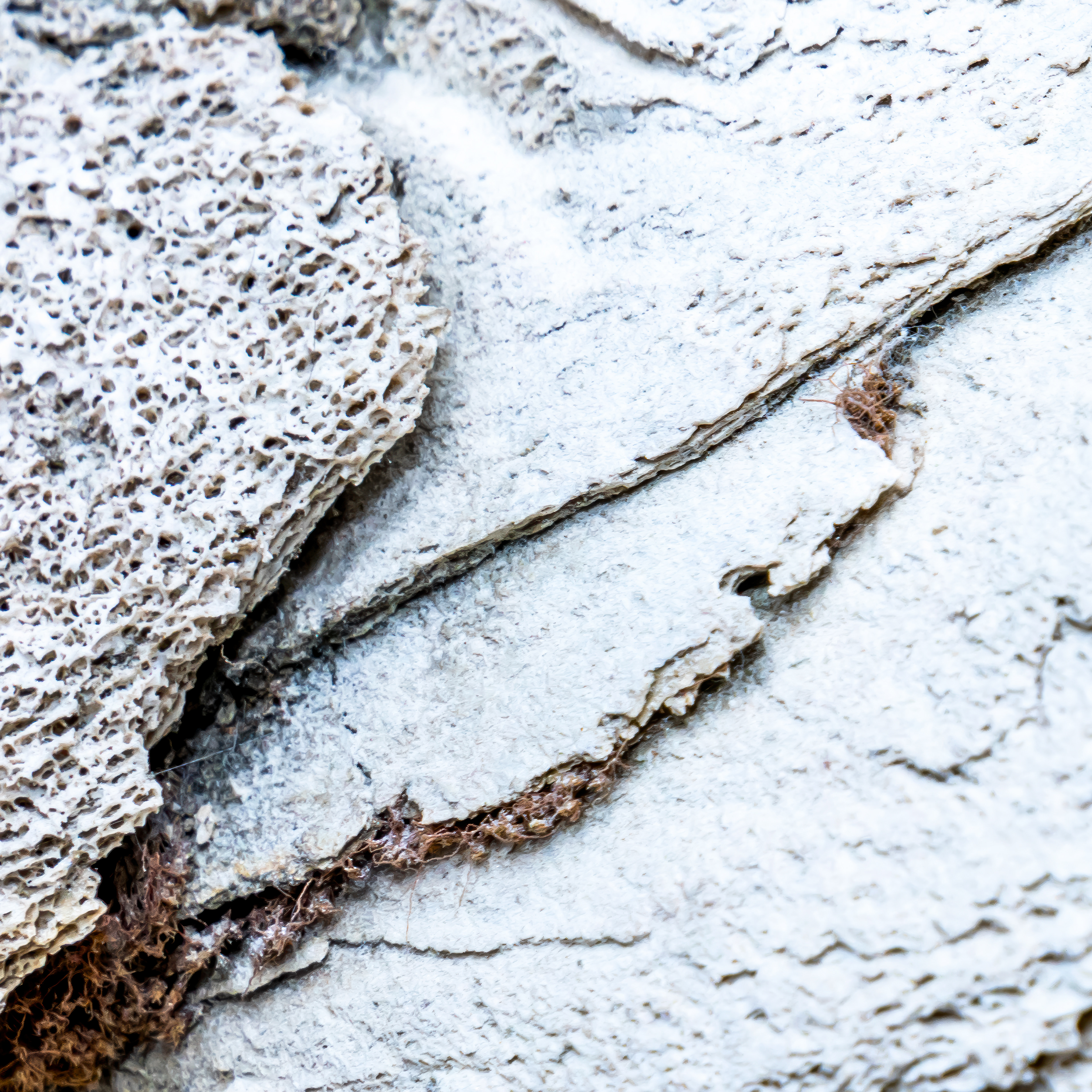 Detail - Fault Lines IV