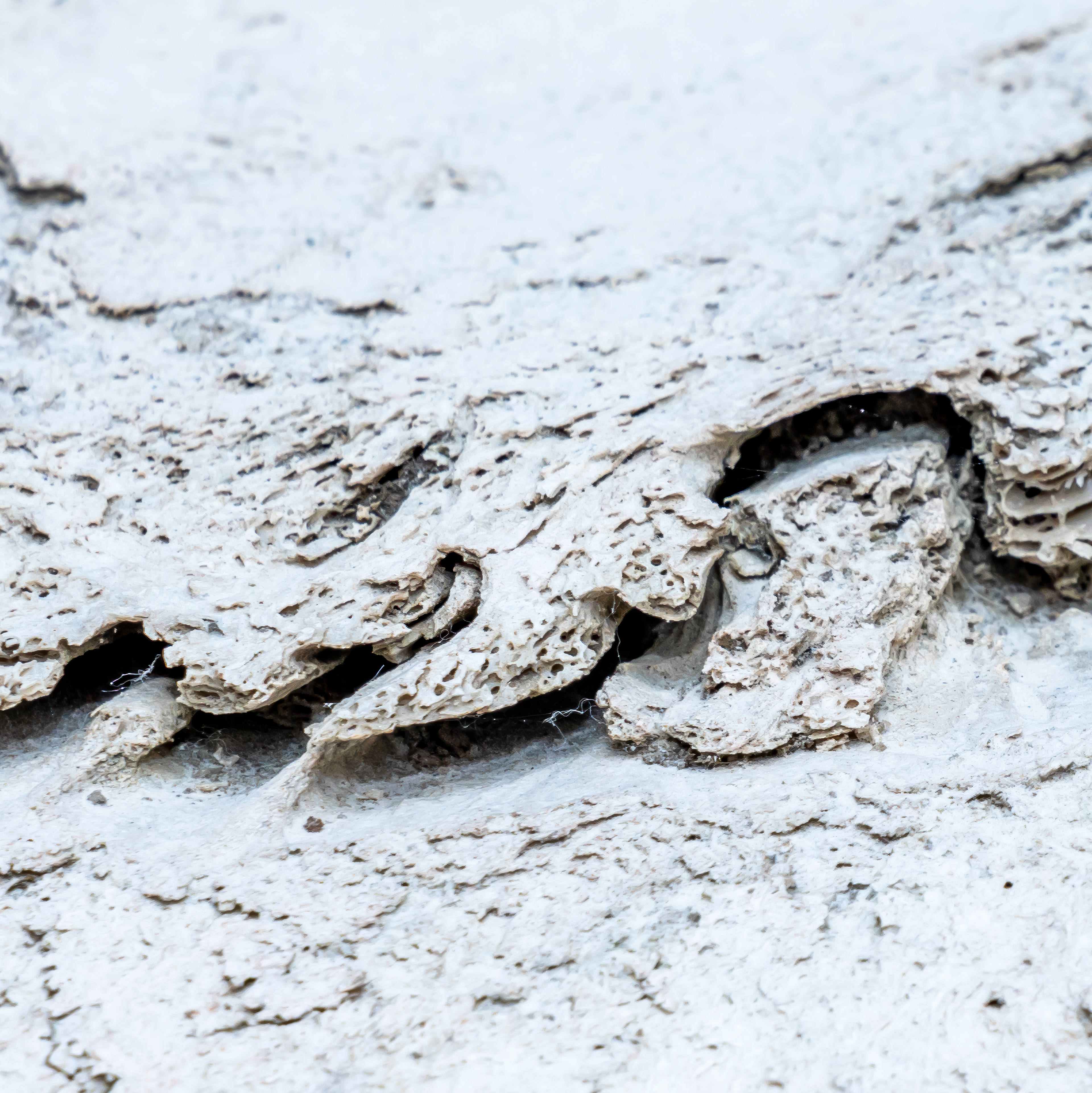 Detail - Schisms IV