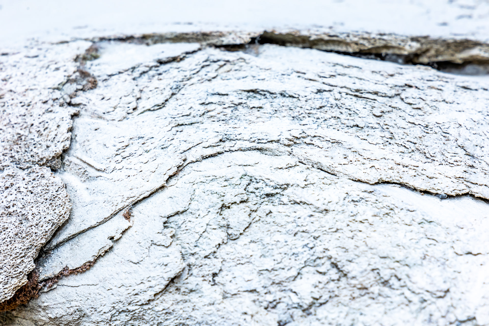 Fault Lines IV