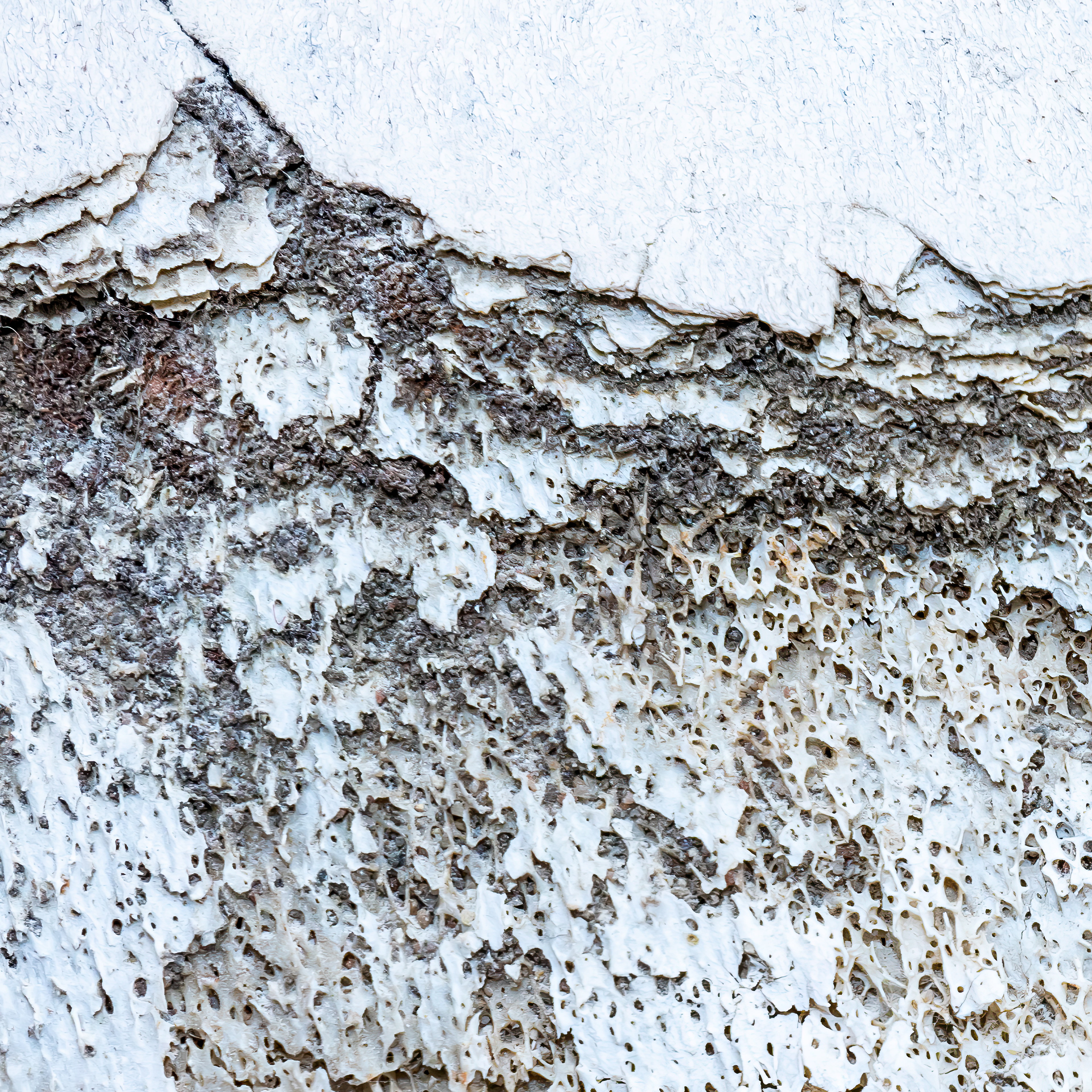 Detail - Shifts IV