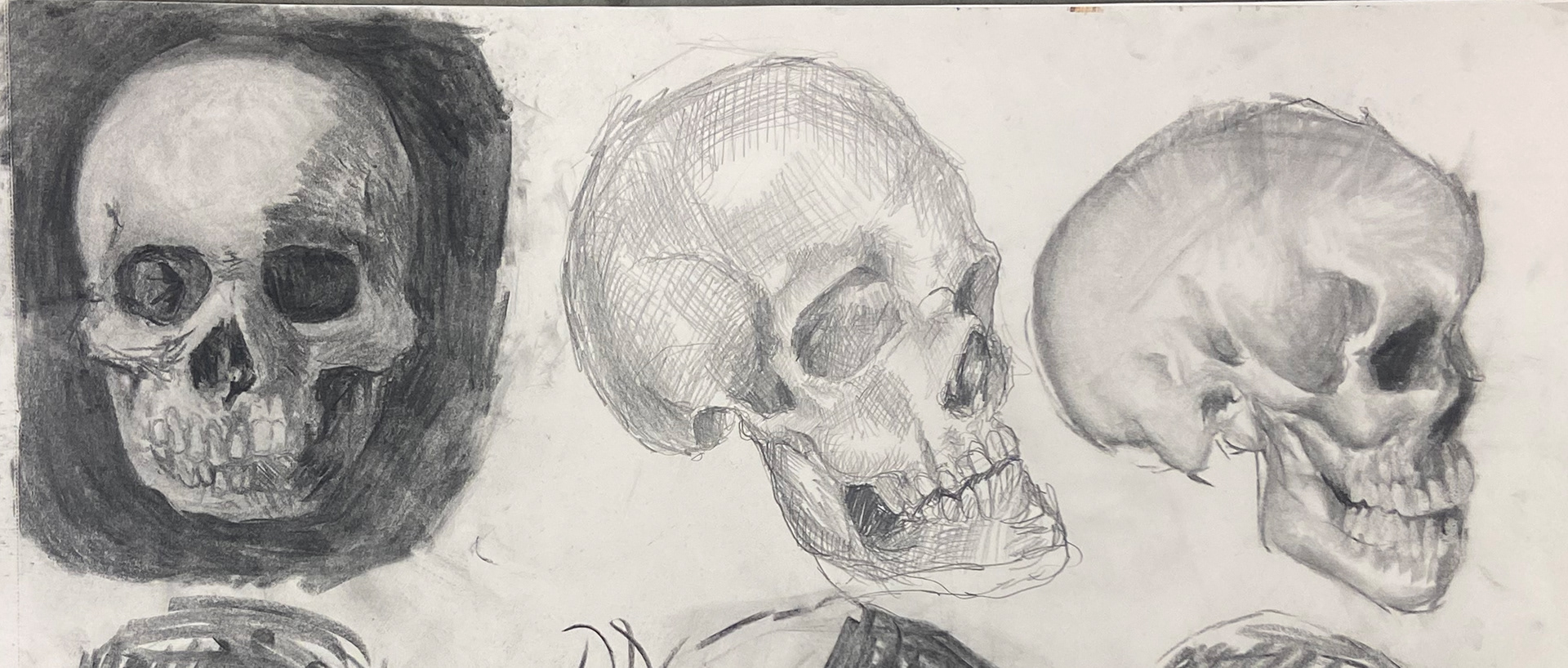 30 minute each perspective study