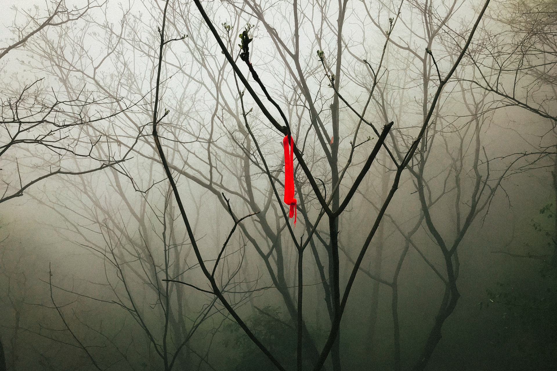 China, Wundang Mountains