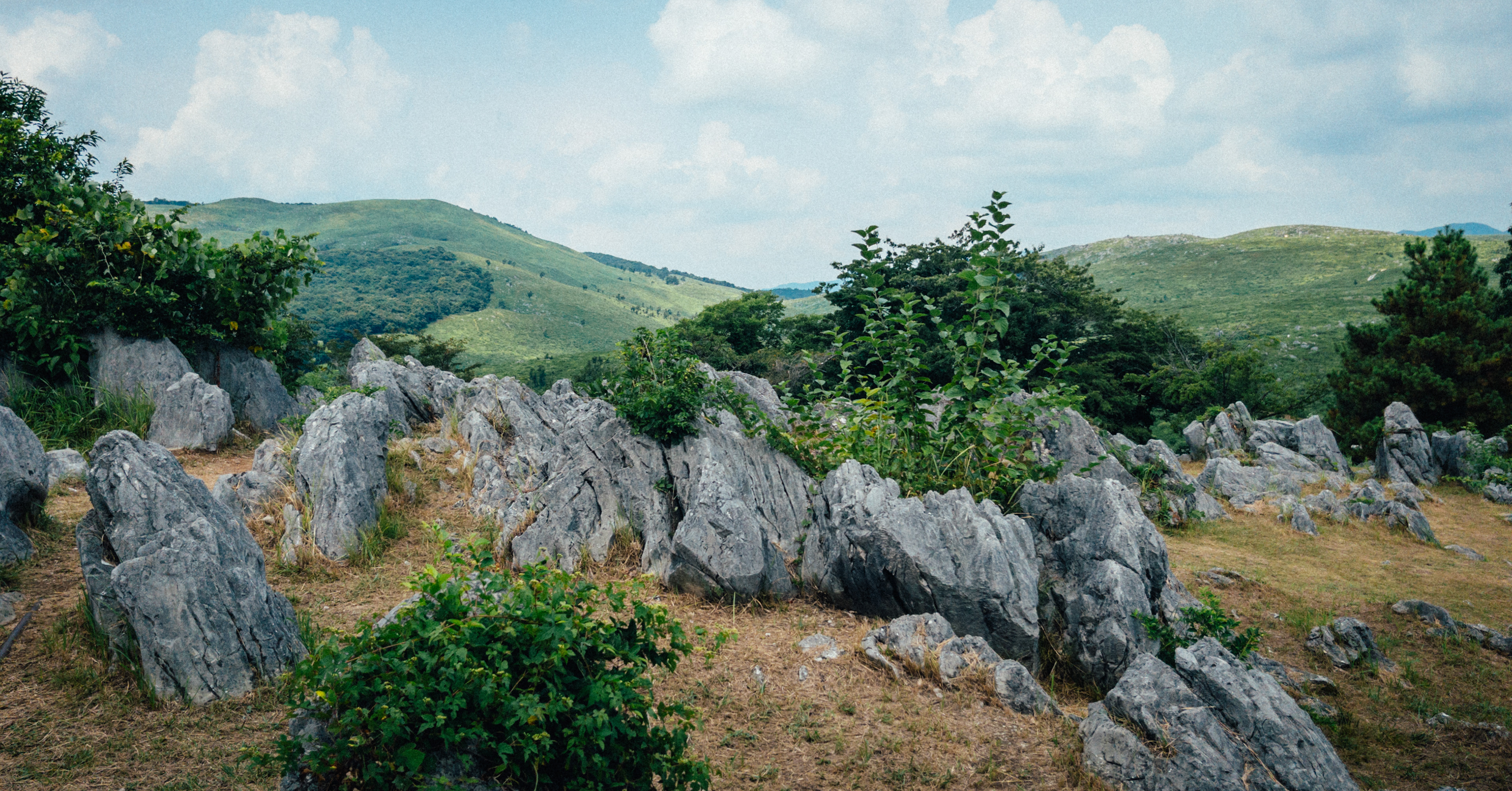 Kiyoshidai, Japan
