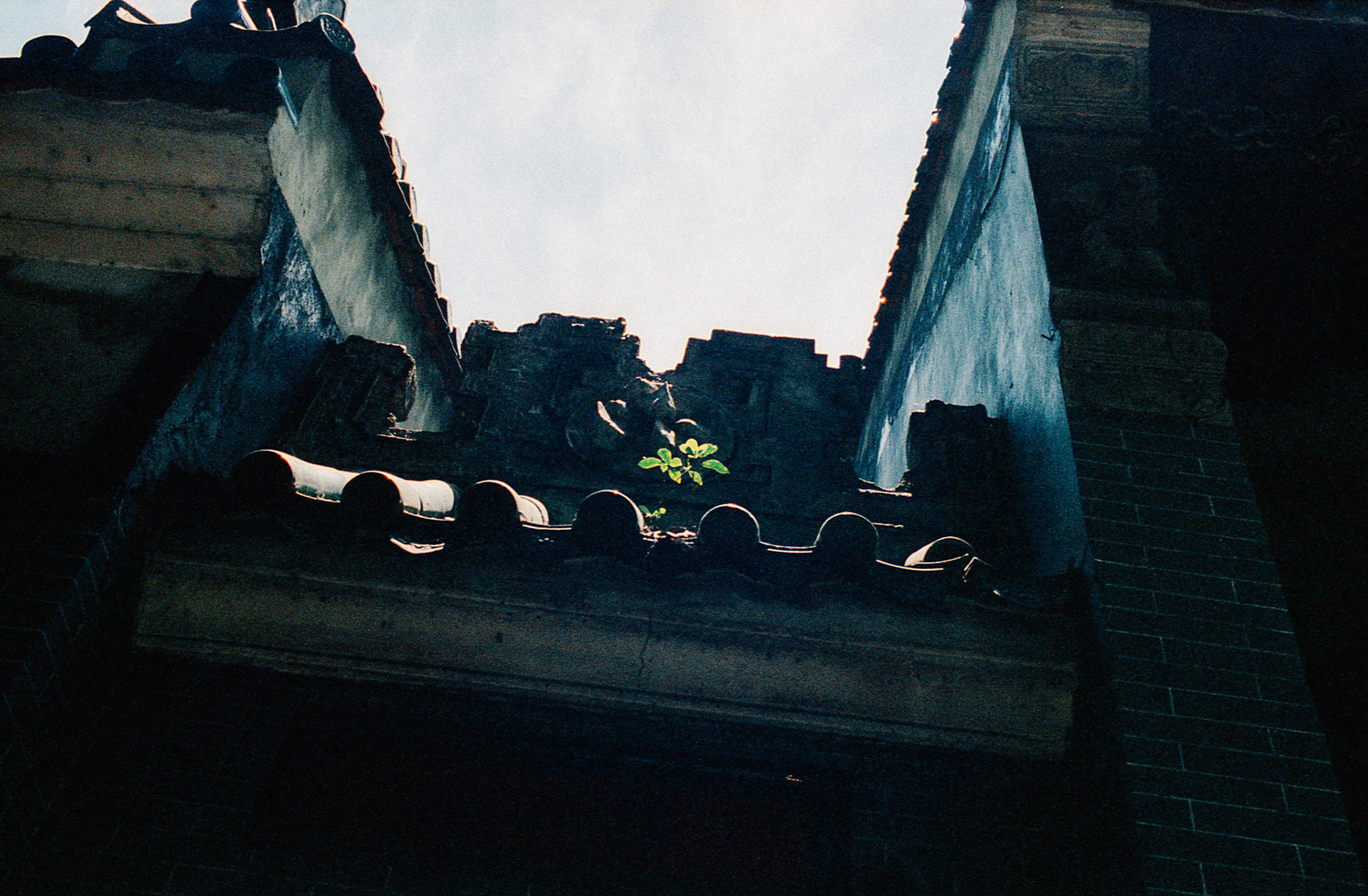 Hong-Kong