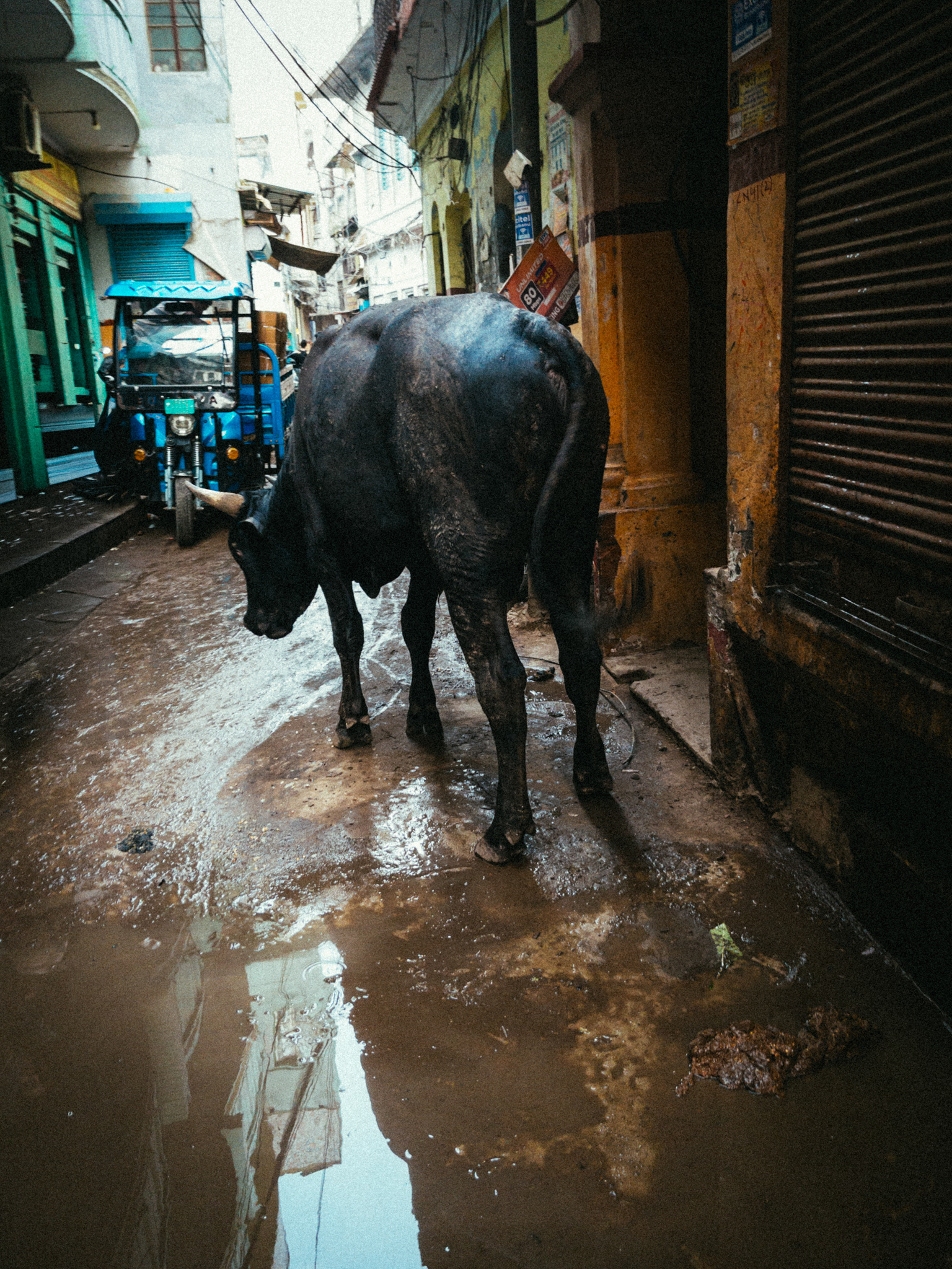 India, Varanasi