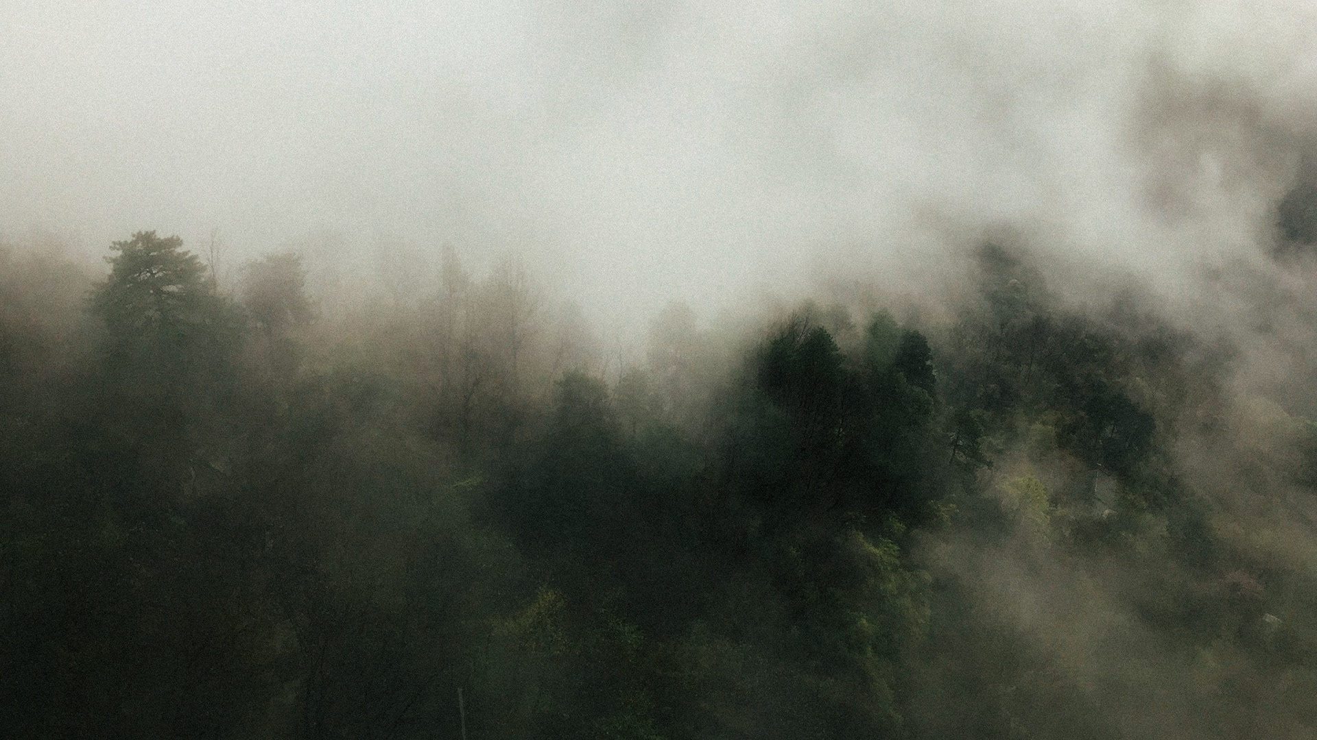 China, Wundang Mountains