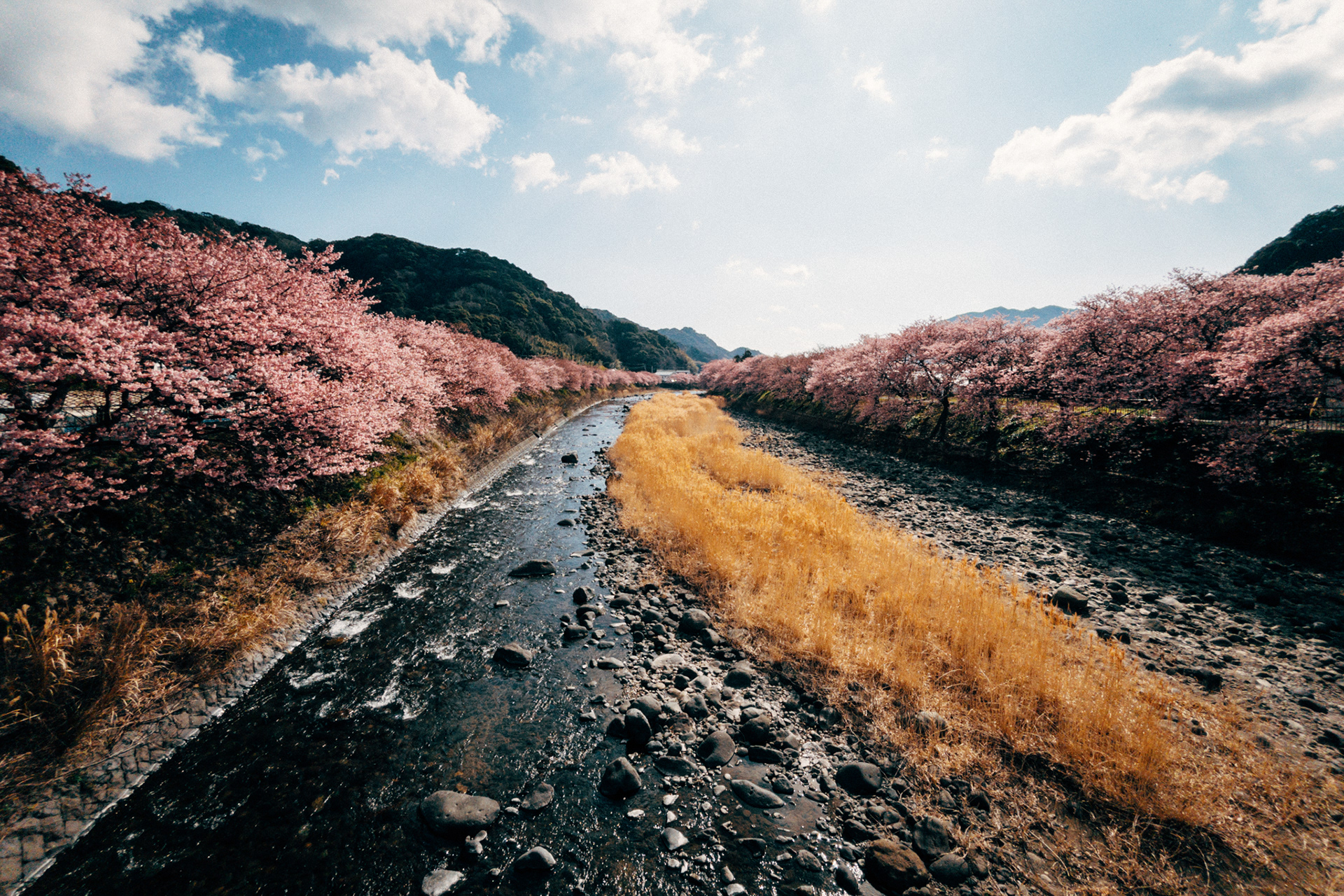 Japan