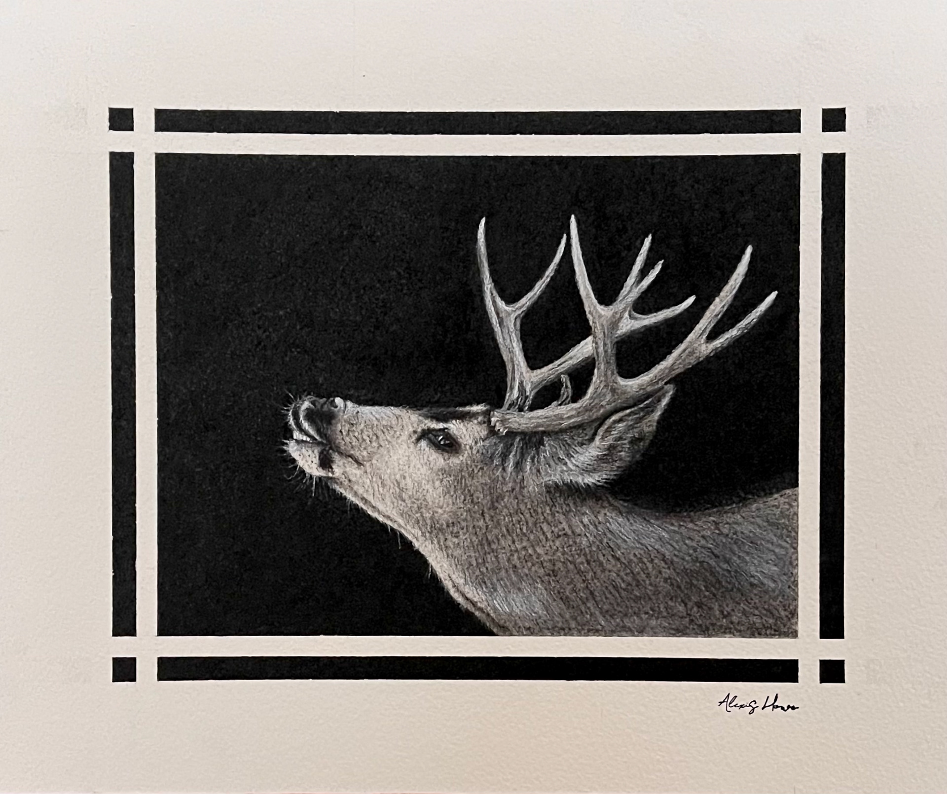 2023 neighboring Taxidermy Show donation piece