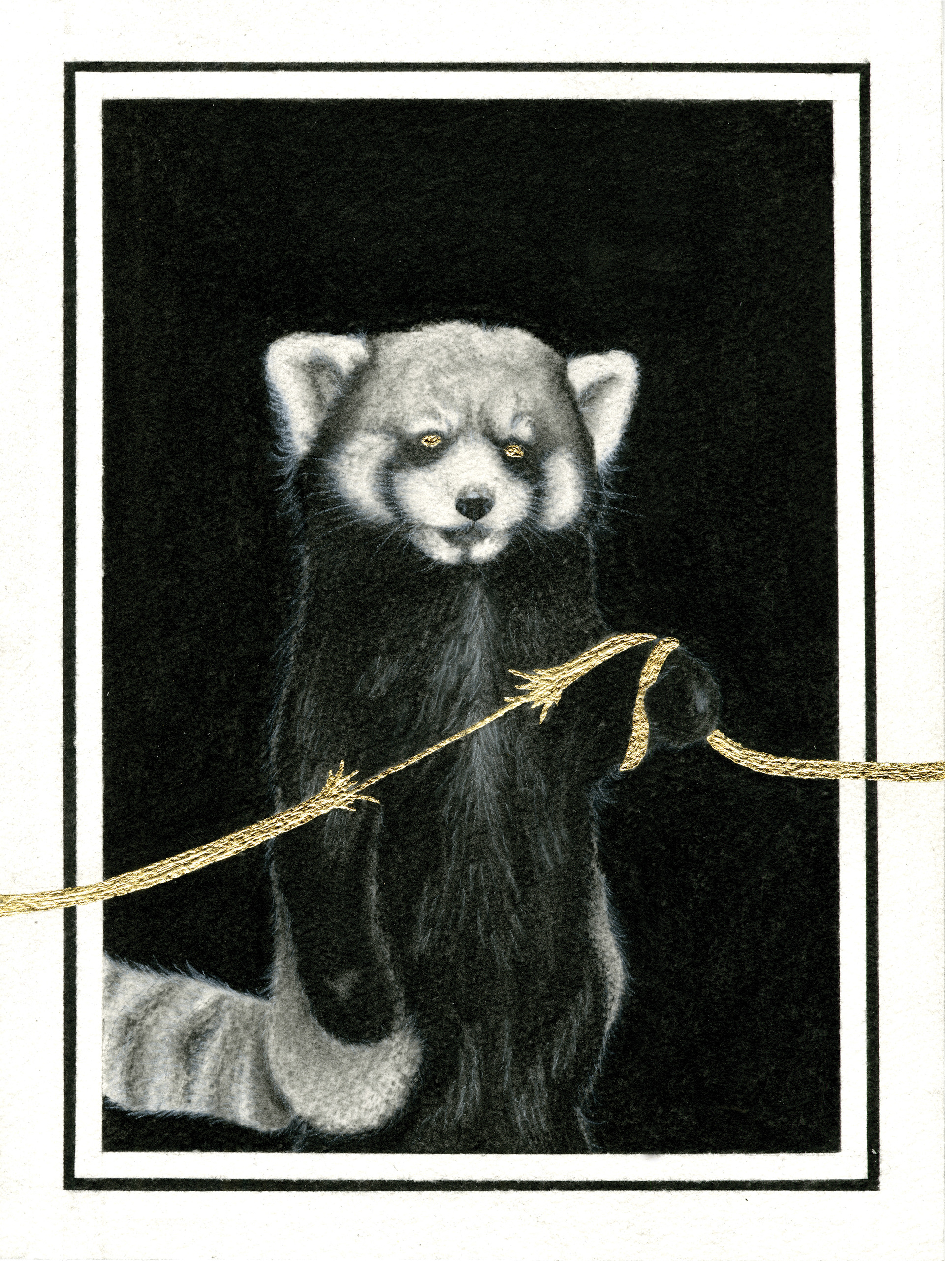 The Golden String of Fate - Red Panda