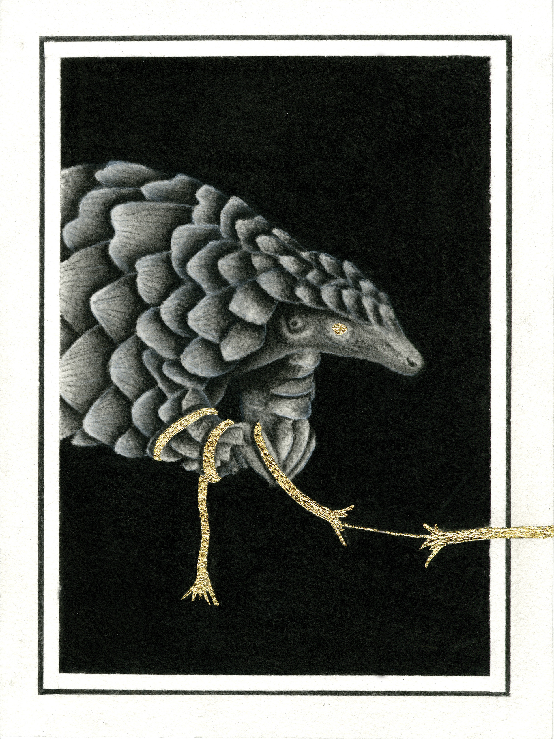 The Golden String of Fate - Pangolin