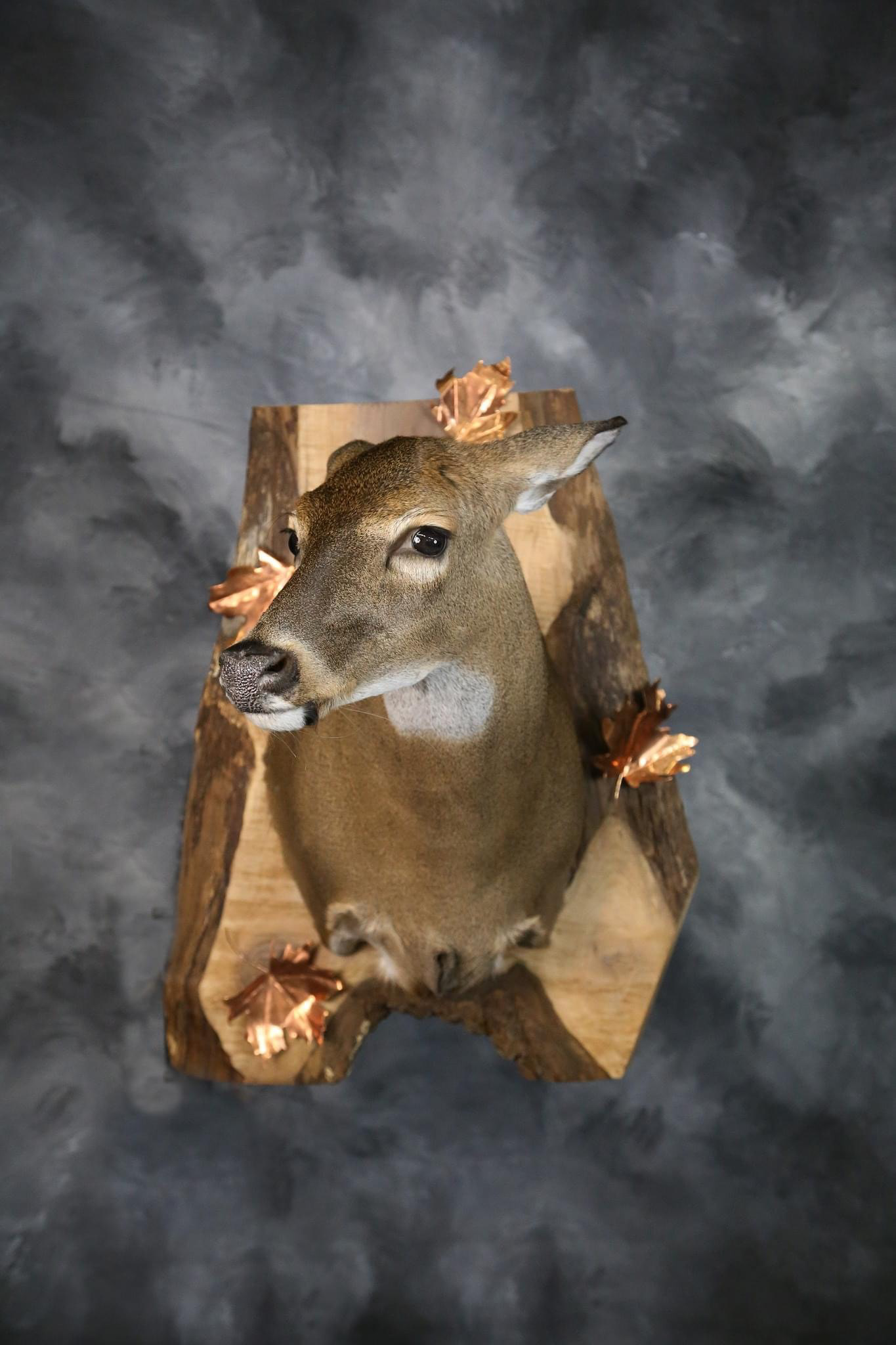 Live edge wooden backing with custom made bronze leaves