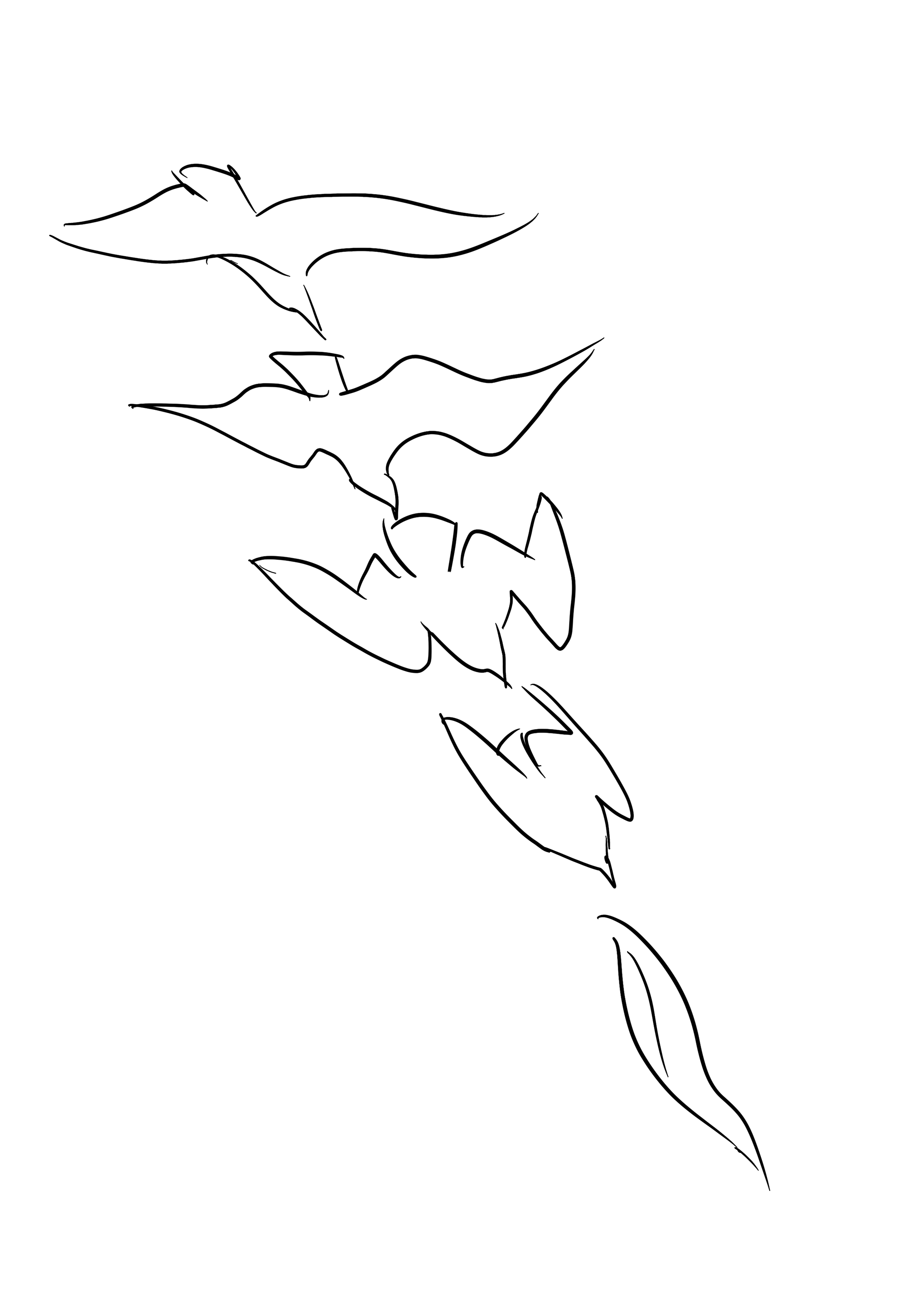 Choreography of Diving Bird