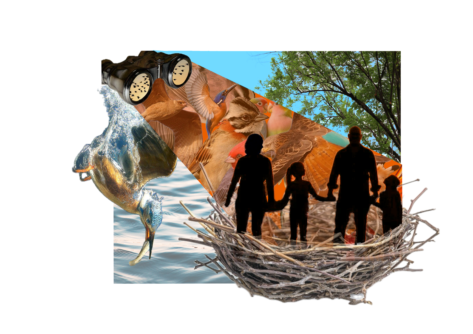 Client Collage