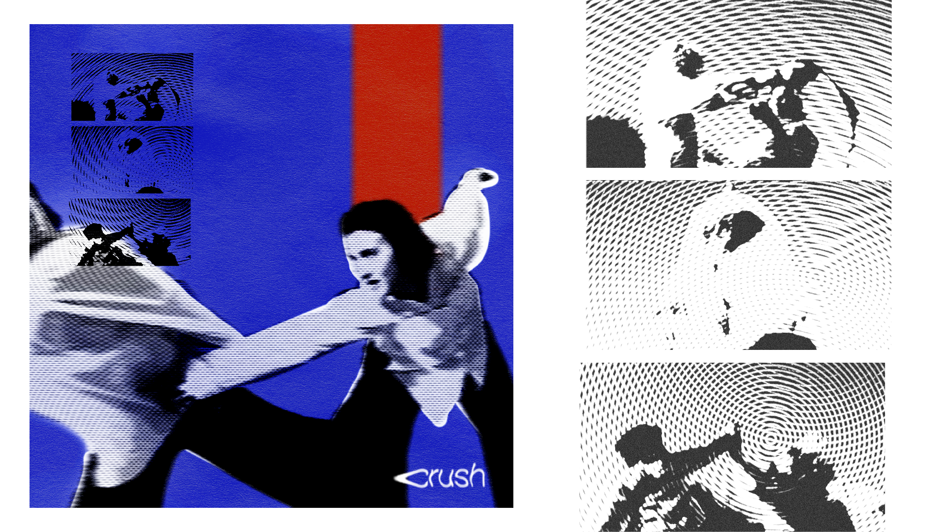 Album Art for 'Crush' by Brigette Bardini