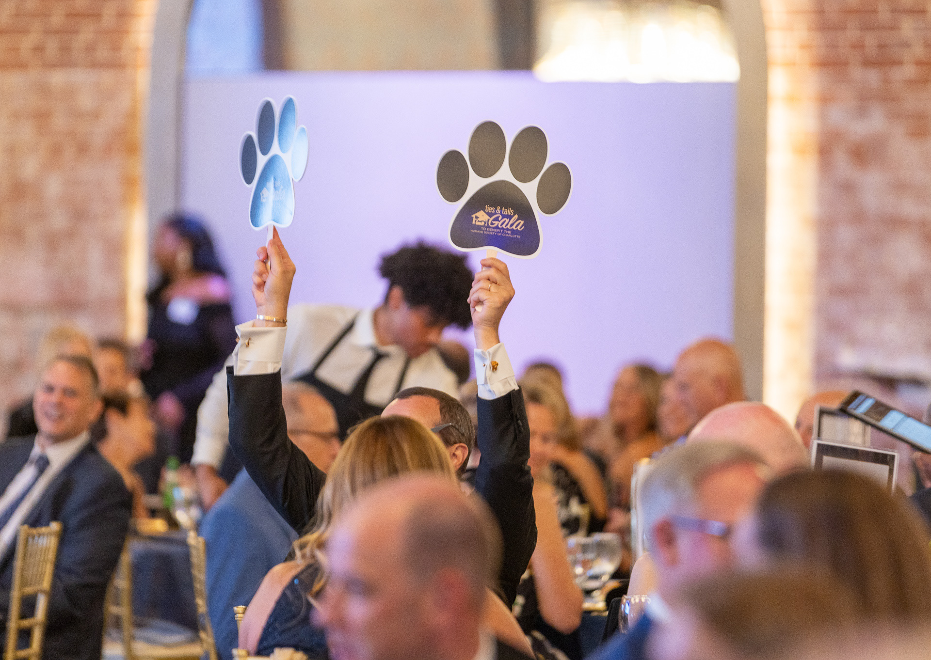 Ties & Tails Gala auction "paw-ddle"