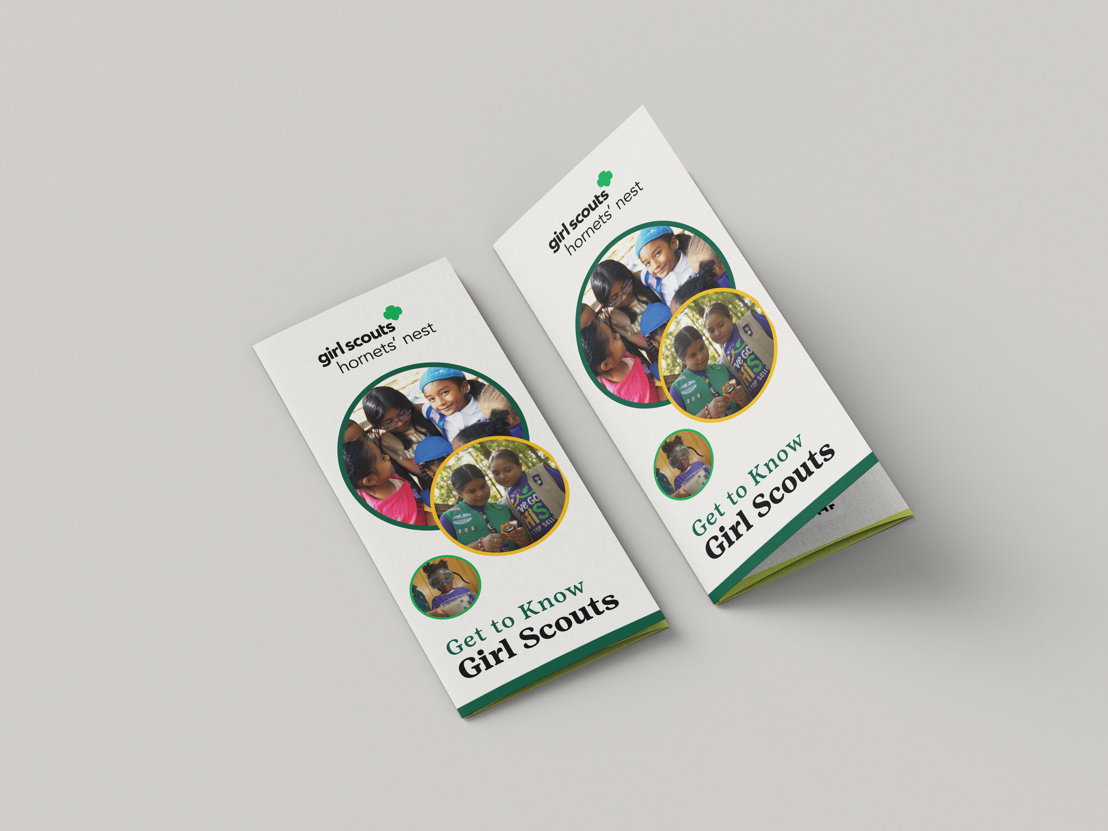 Tri-fold brochure