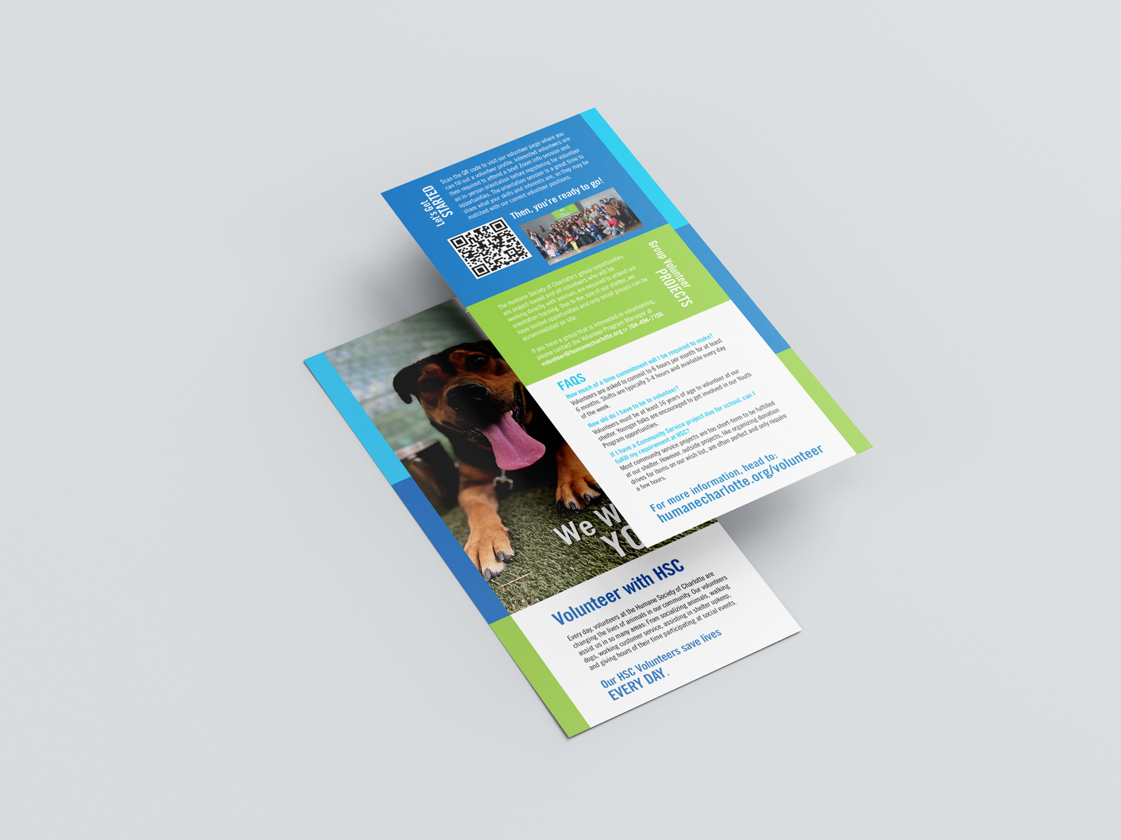 Volunteer Program rack card