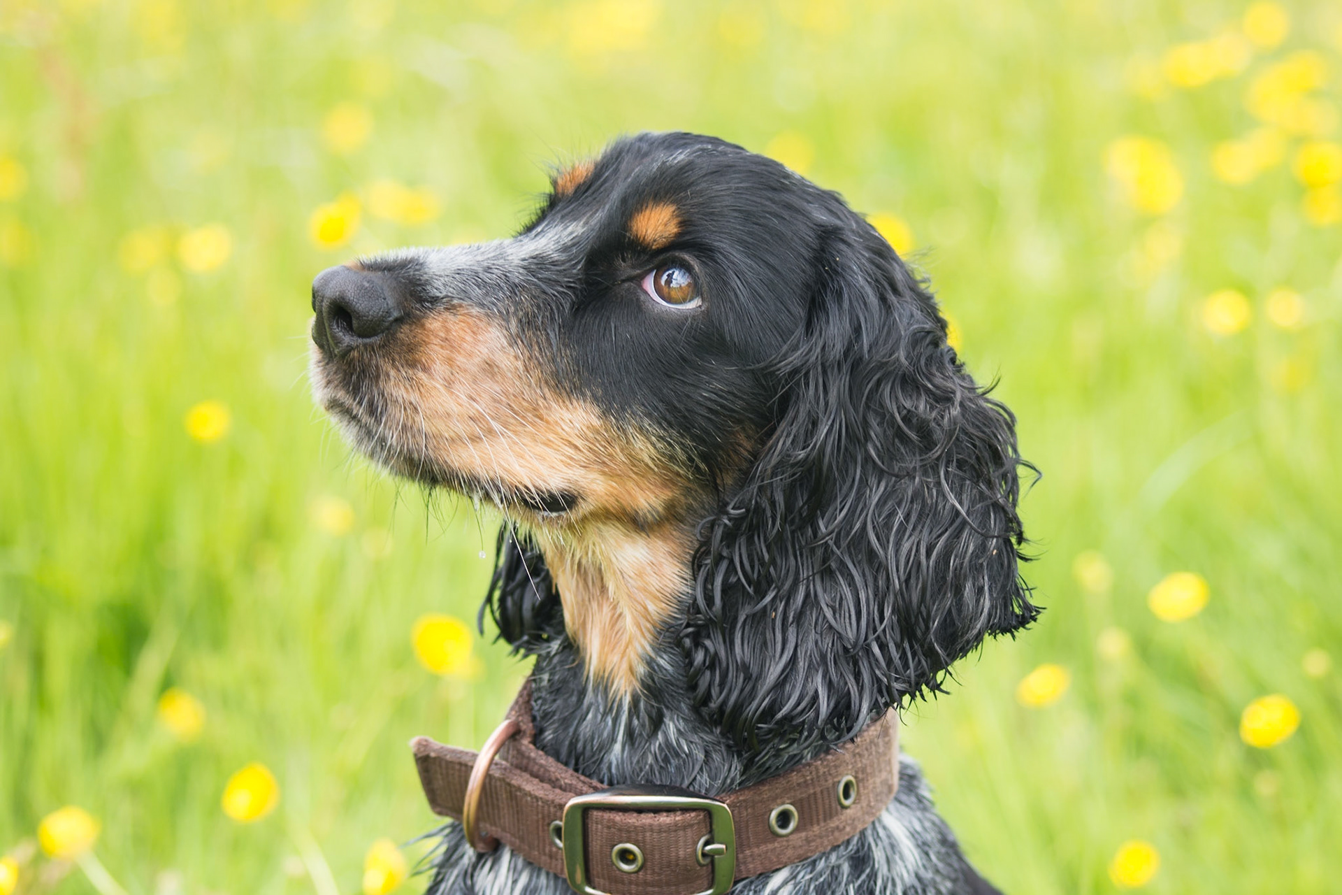 © Rachel Overd, all rights reserved