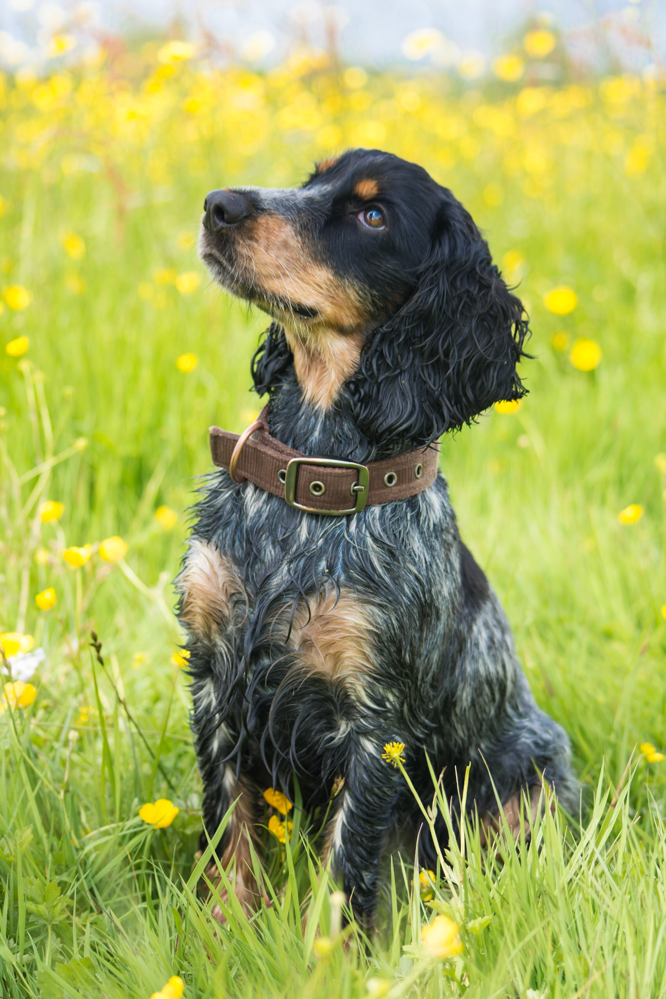 © Rachel Overd, all rights reserved