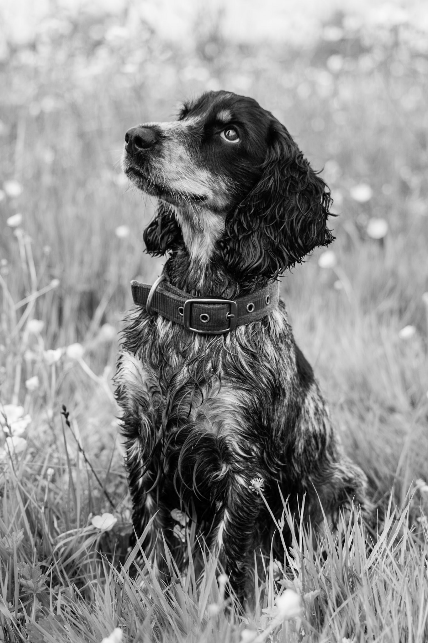 © Rachel Overd, all rights reserved