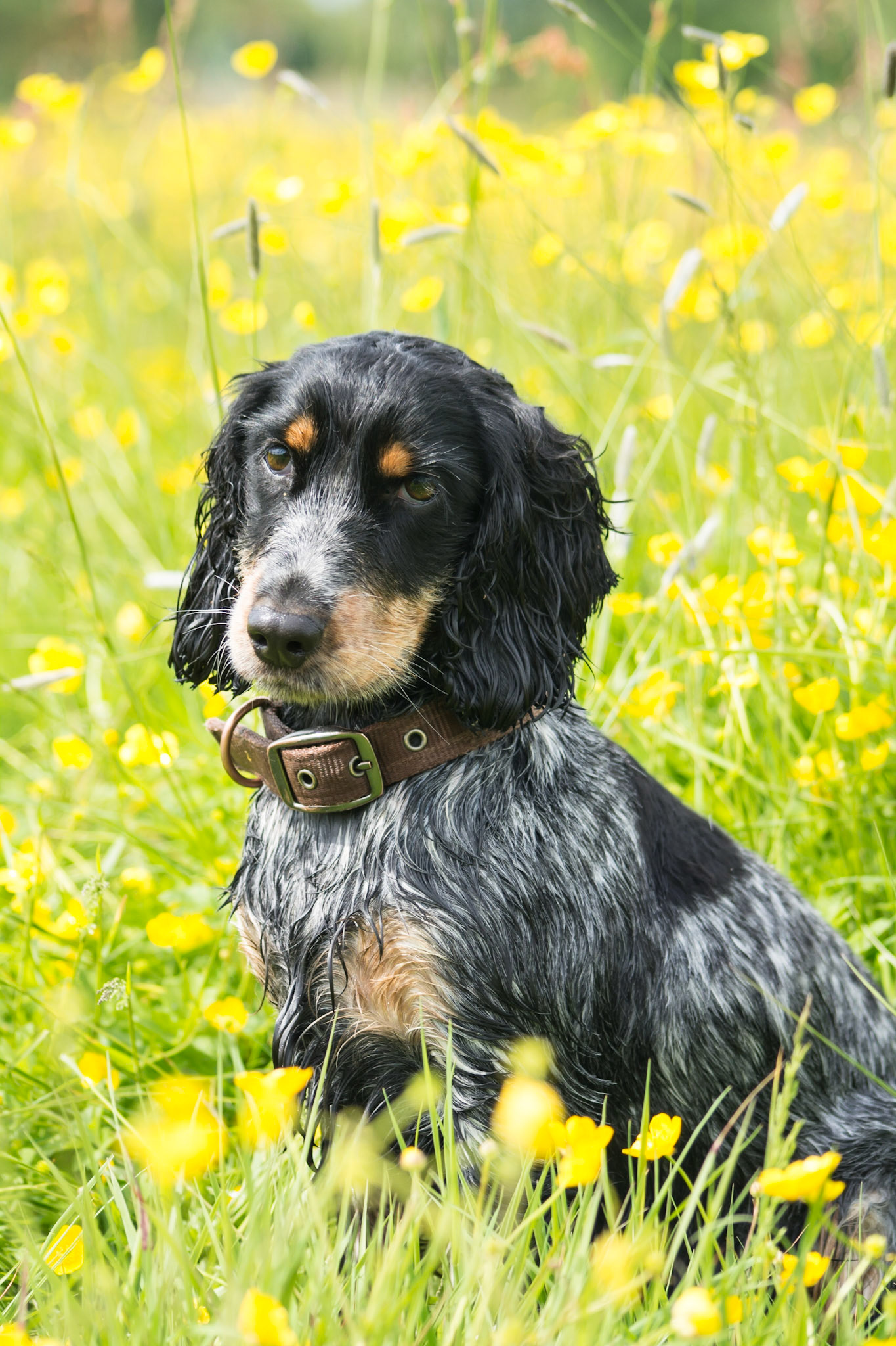 © Rachel Overd, all rights reserved