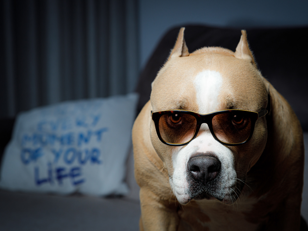 Life Style