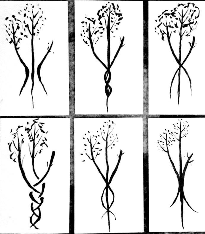 Tattoo concept consultation (final product included for reference)