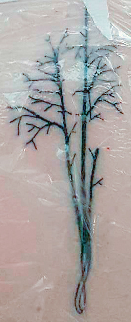 (tattoo included for reference)