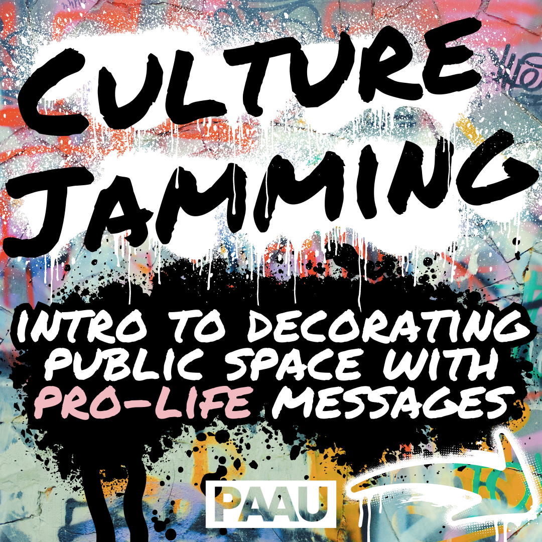 Culture jamming blog post