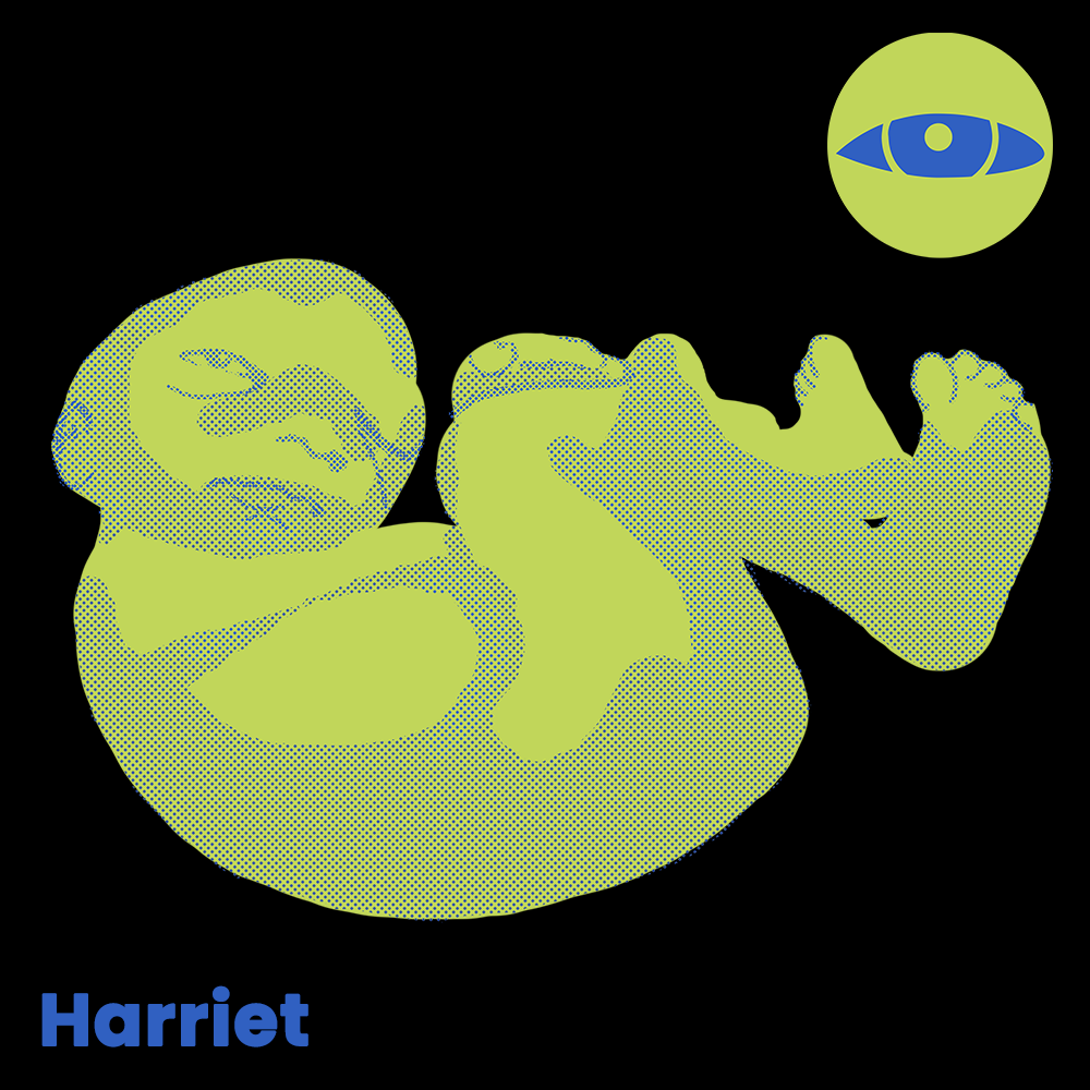 Jfor5 illustration