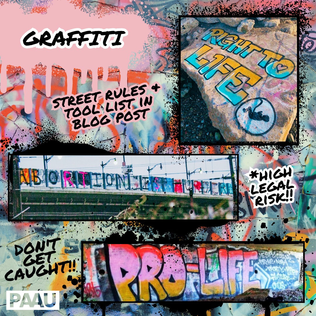 Culture jamming blog post