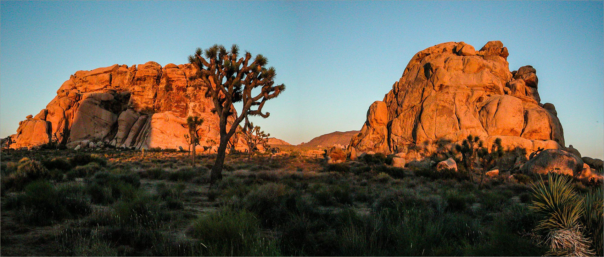 Joshua Tree Rockscape at Sunset 01