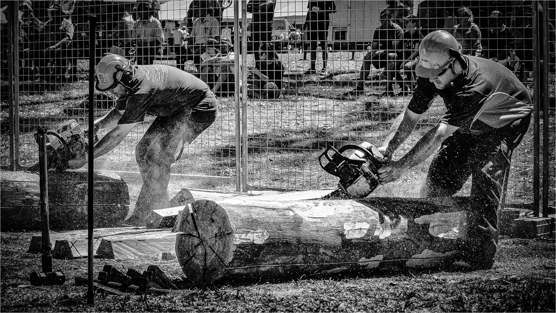 The Chainsaw Race