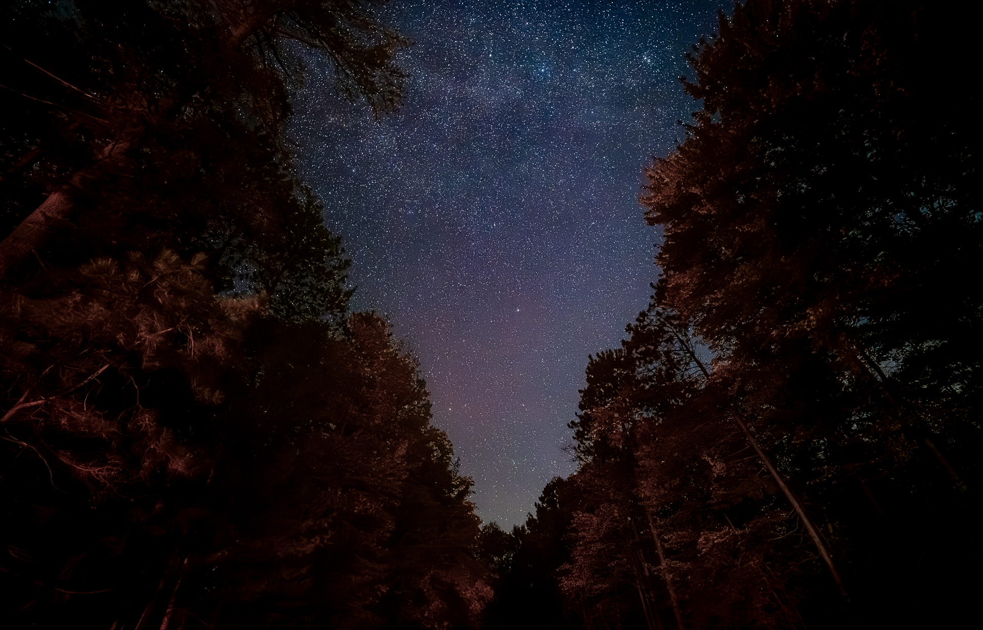 Starry Night in the Adirondacks, Fall 2026