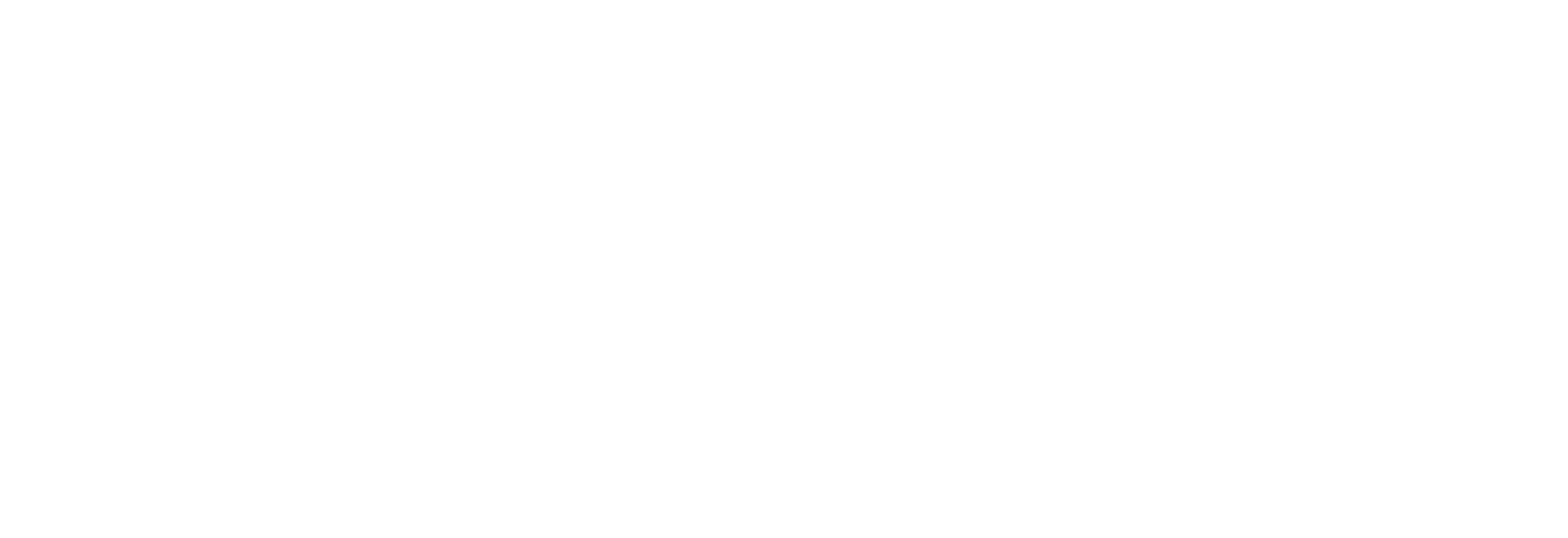 Aleena Raja