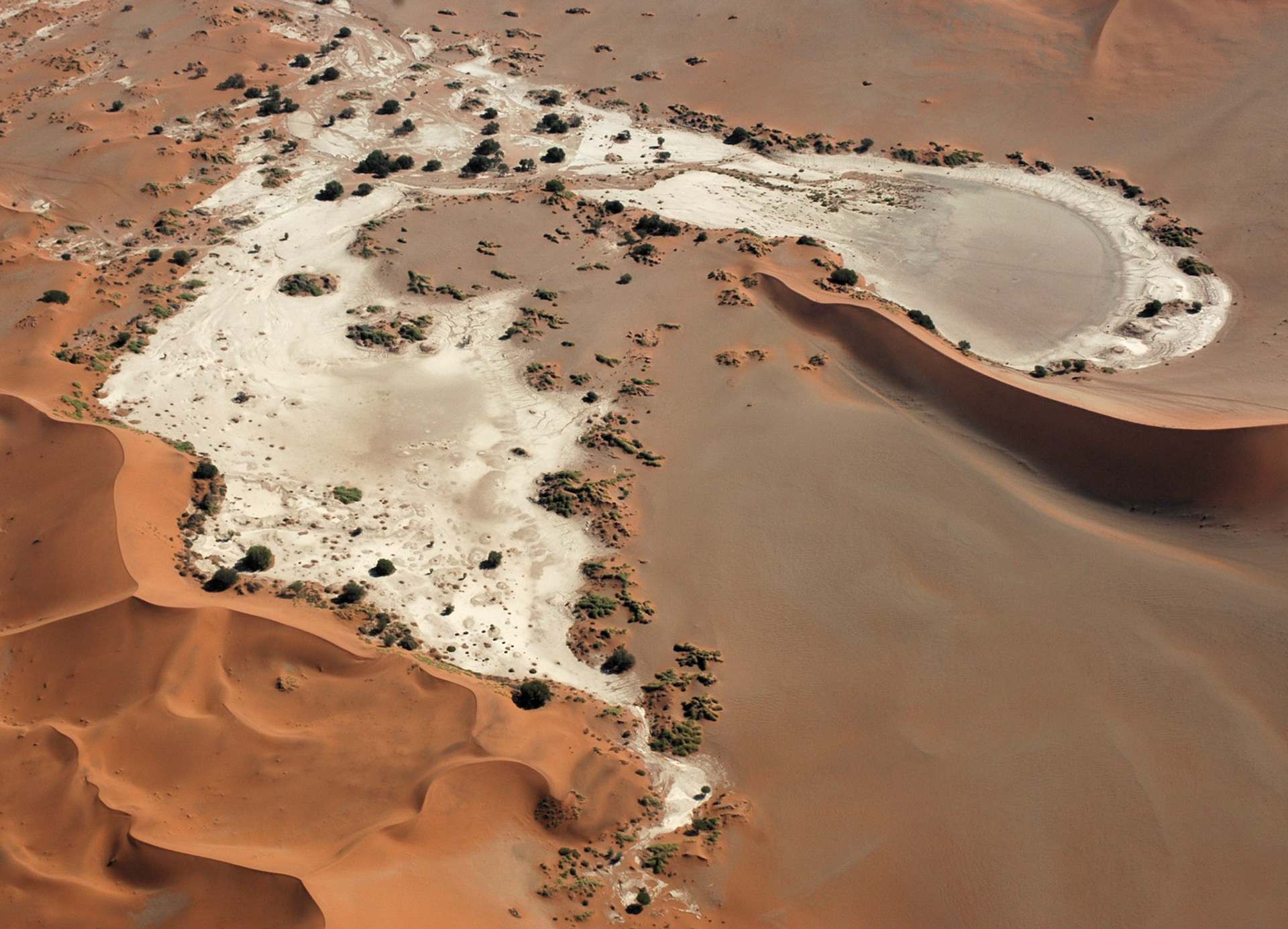 The land is an elaborate composition of sand dunes and river-beds that end in dry calcareous puddles. Here an aerial view of Sossusvlei.